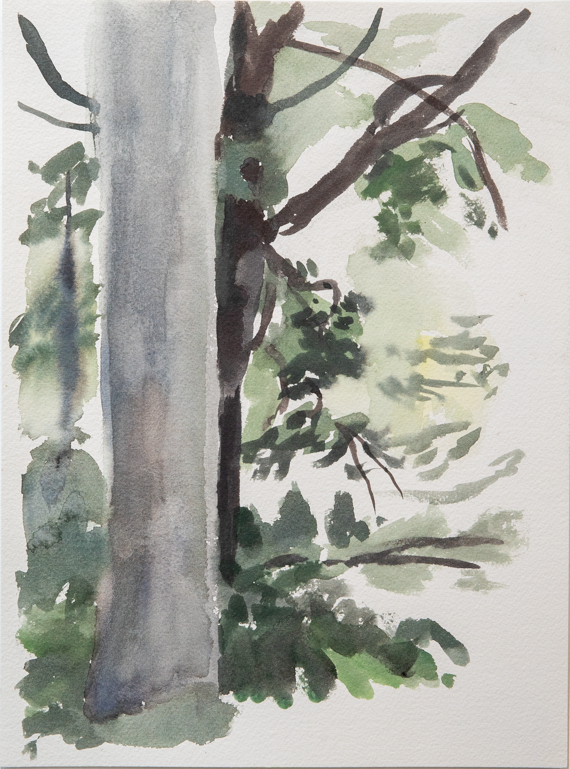 Untitled 38_(Summer 2023)_12by9.PNG