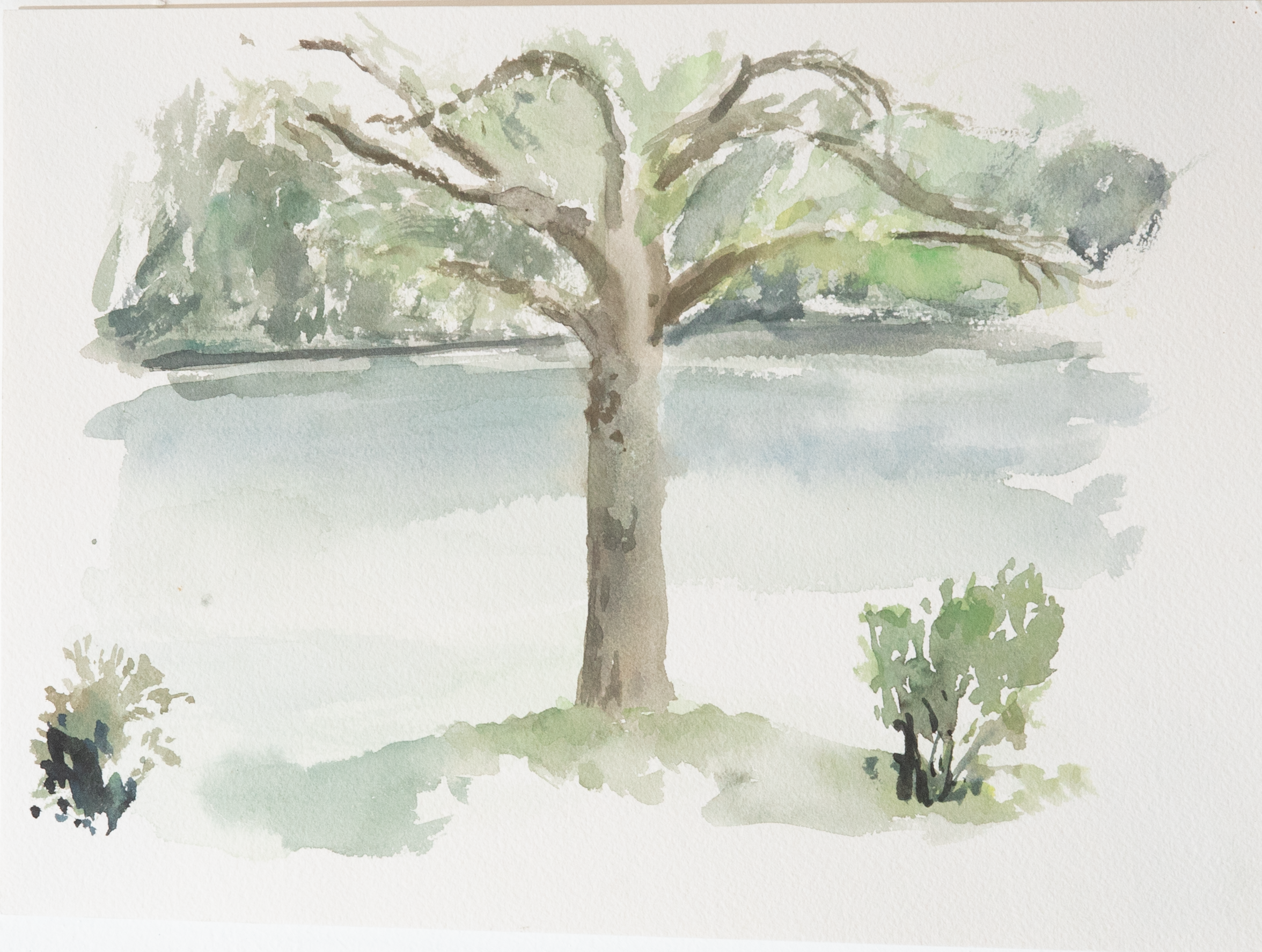 Untitled 14_(Summer 2023)_12by9.PNG