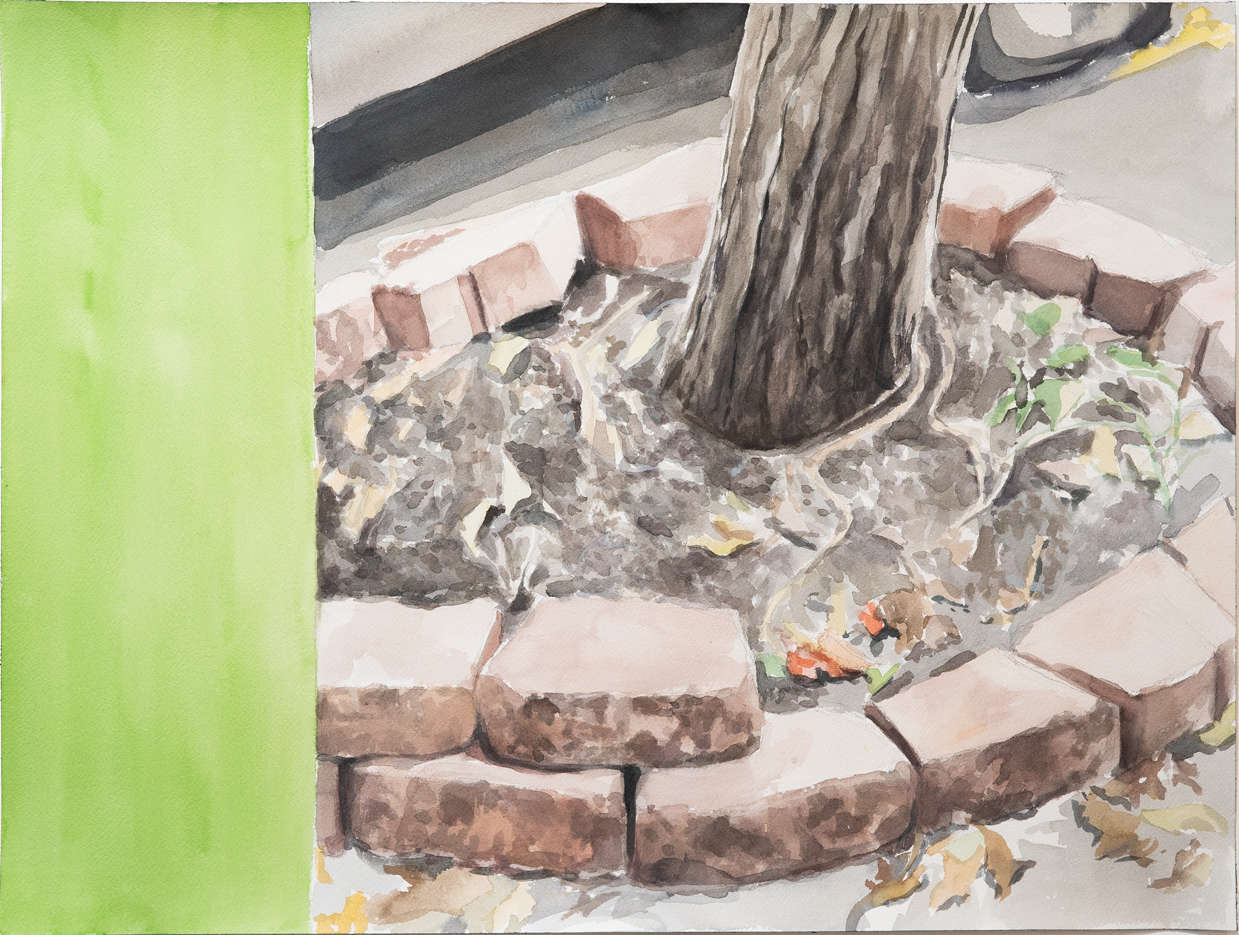 Tree Trunk (Green).PNG