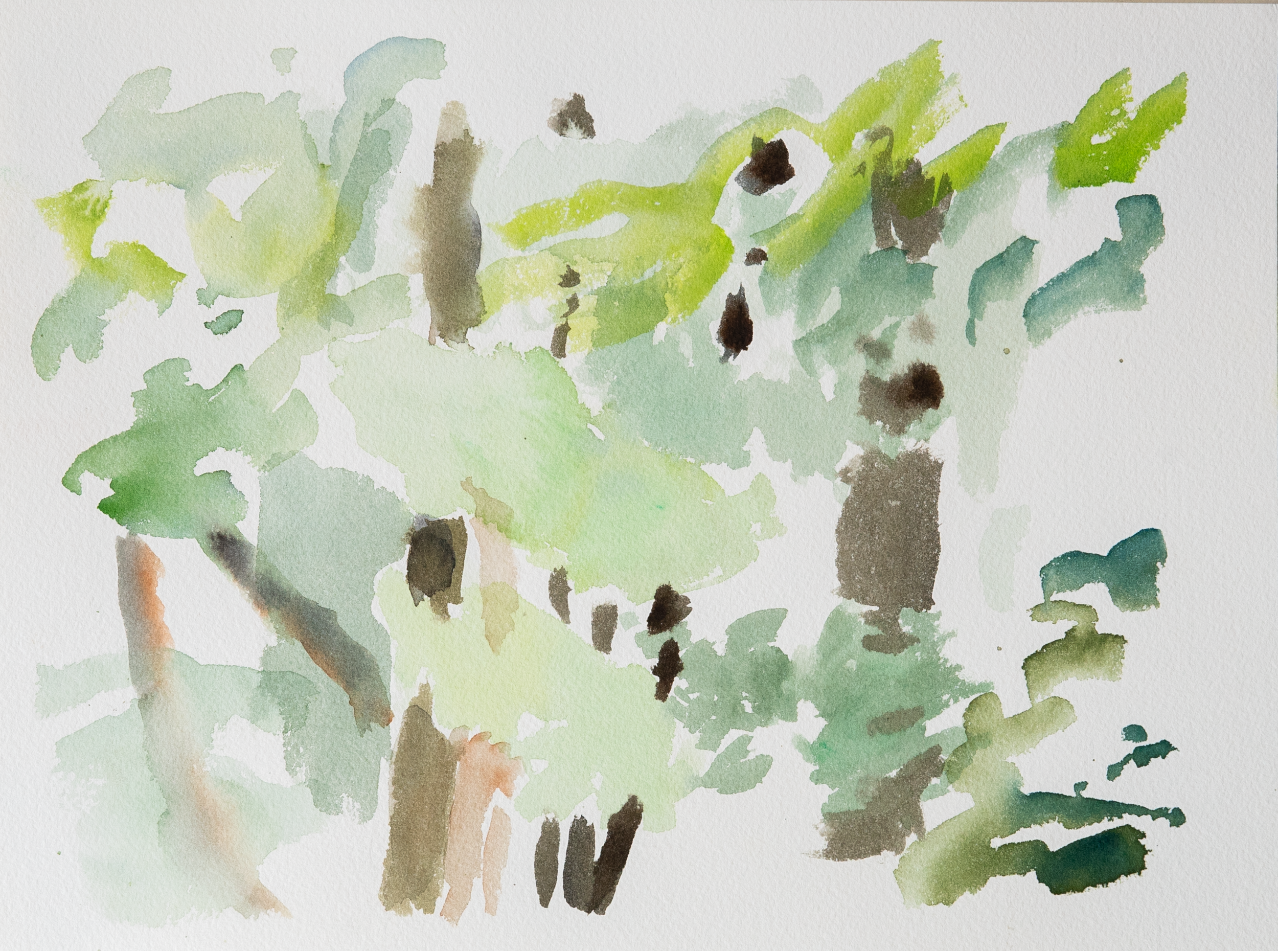 Untitled 42_(Summer 2023)_12by9.PNG