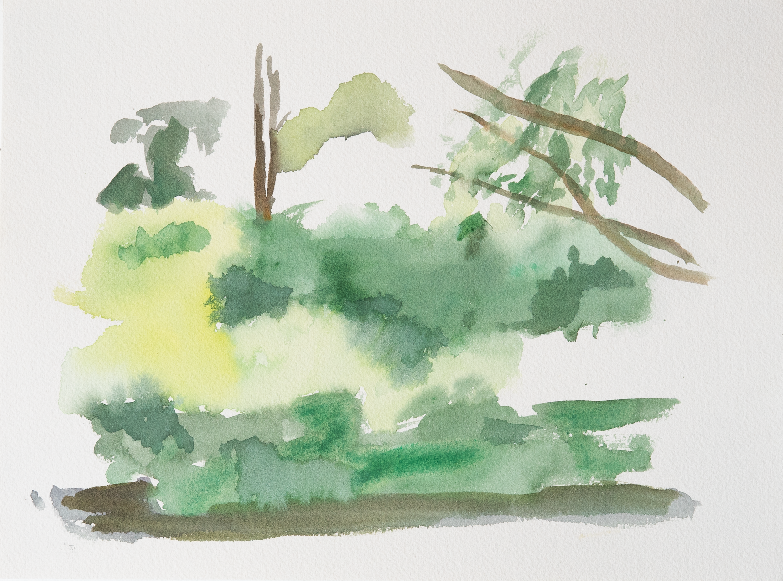 Untitled 28_(Summer 2023)_12by9.PNG