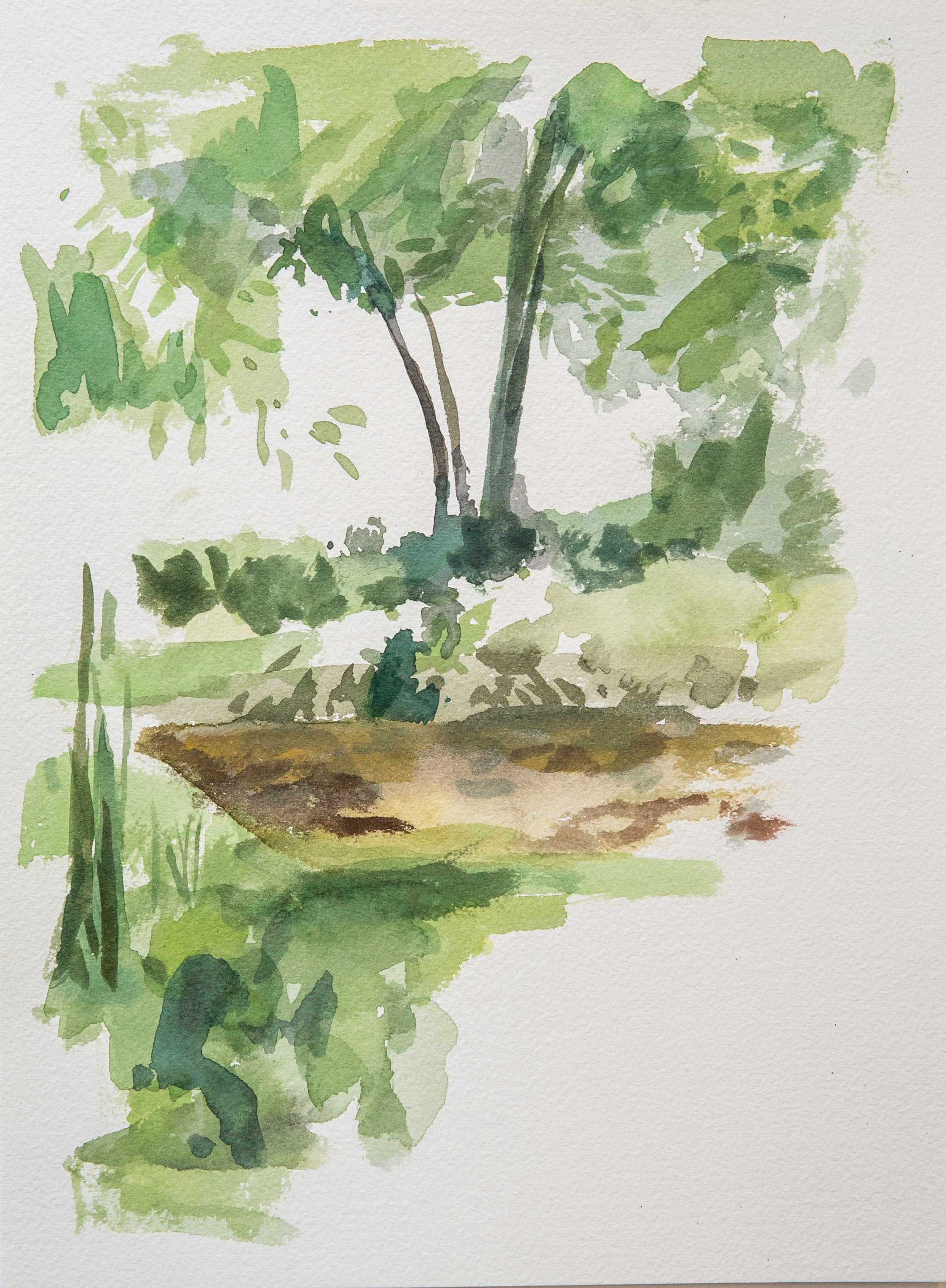 Untitled 44_(Summer 2023)_12by9.PNG