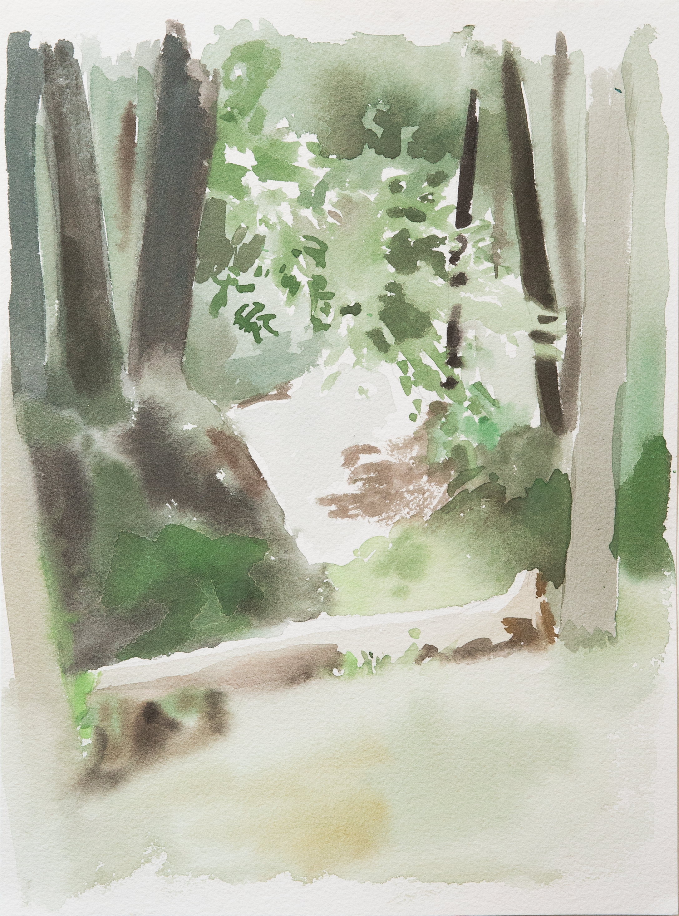 Untitled 34_(Summer 2023)_12by9.PNG