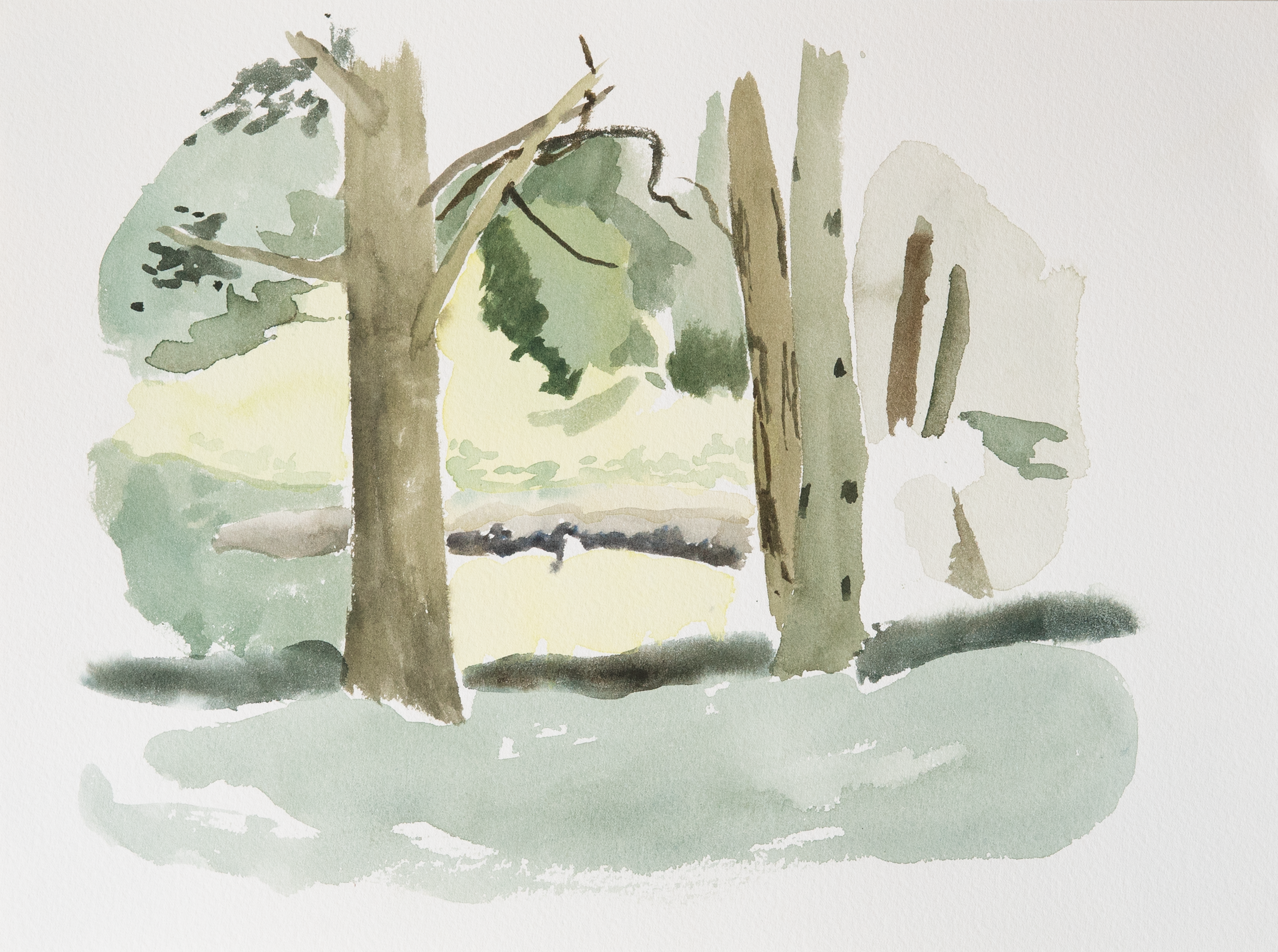 Untitled 26_(Summer 2023)_12by9.PNG