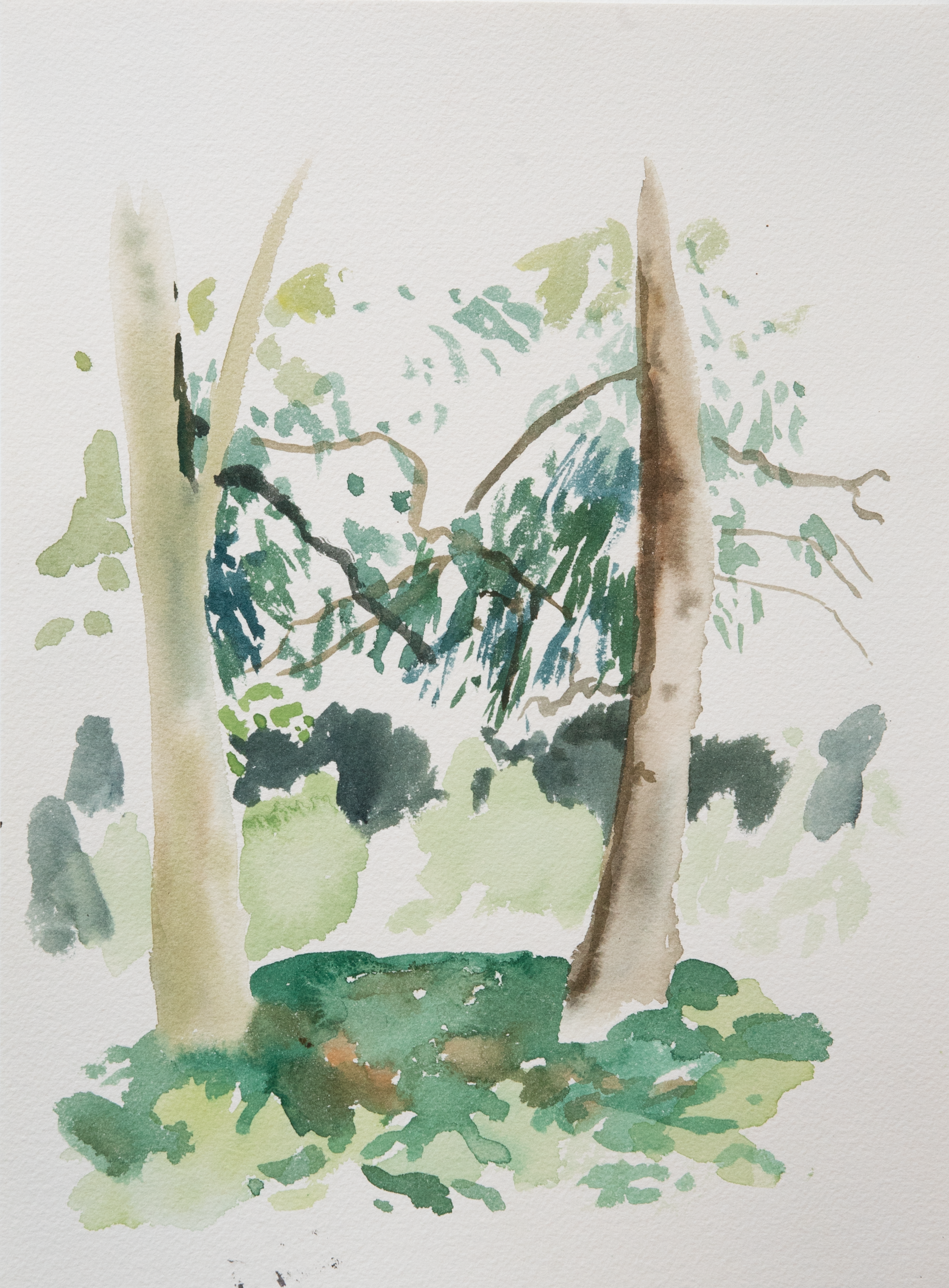 Untitled 39_(Summer 2023)_12by9.PNG