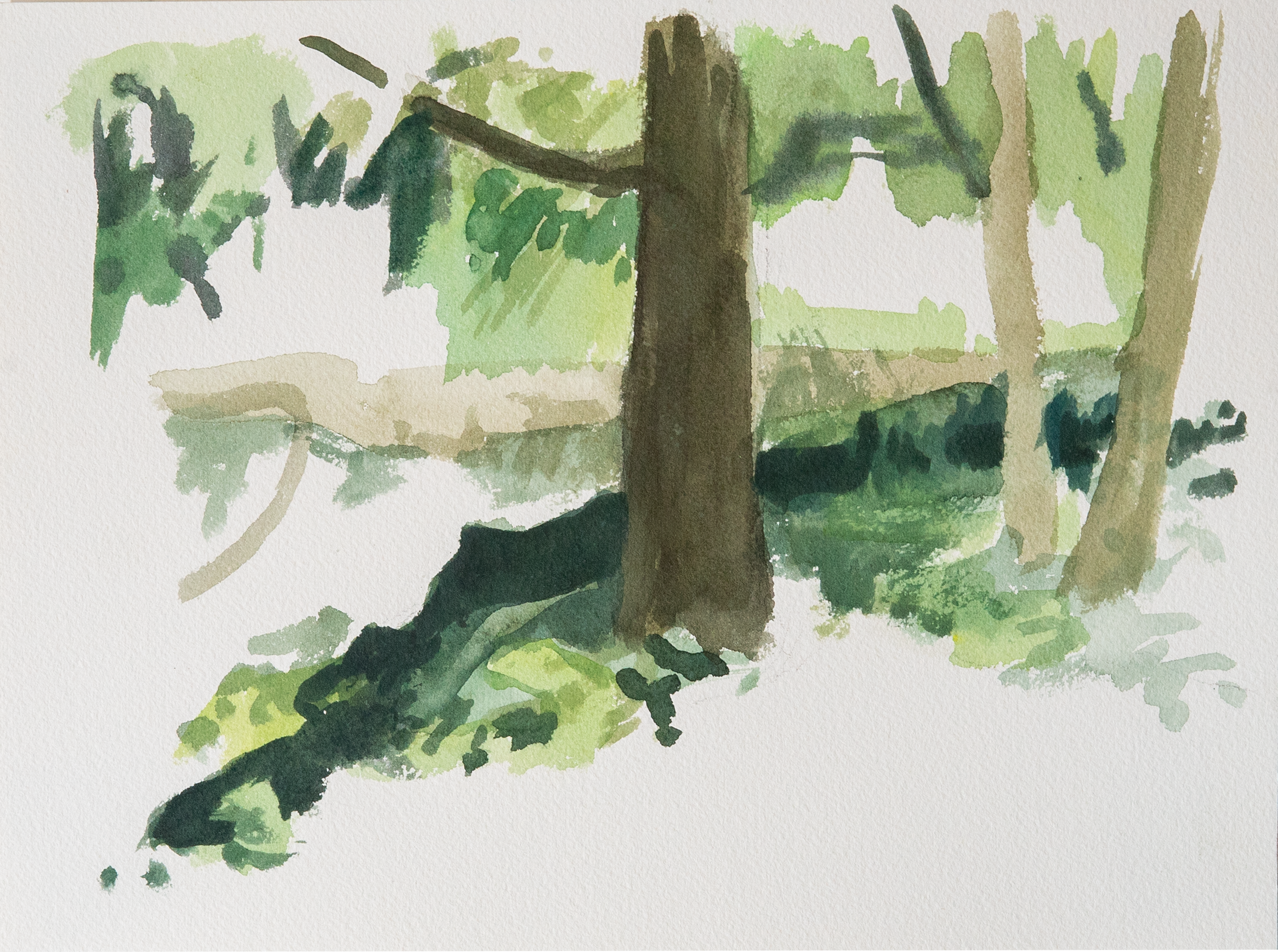 Untitled 25_(Summer 2023)_12by9.PNG