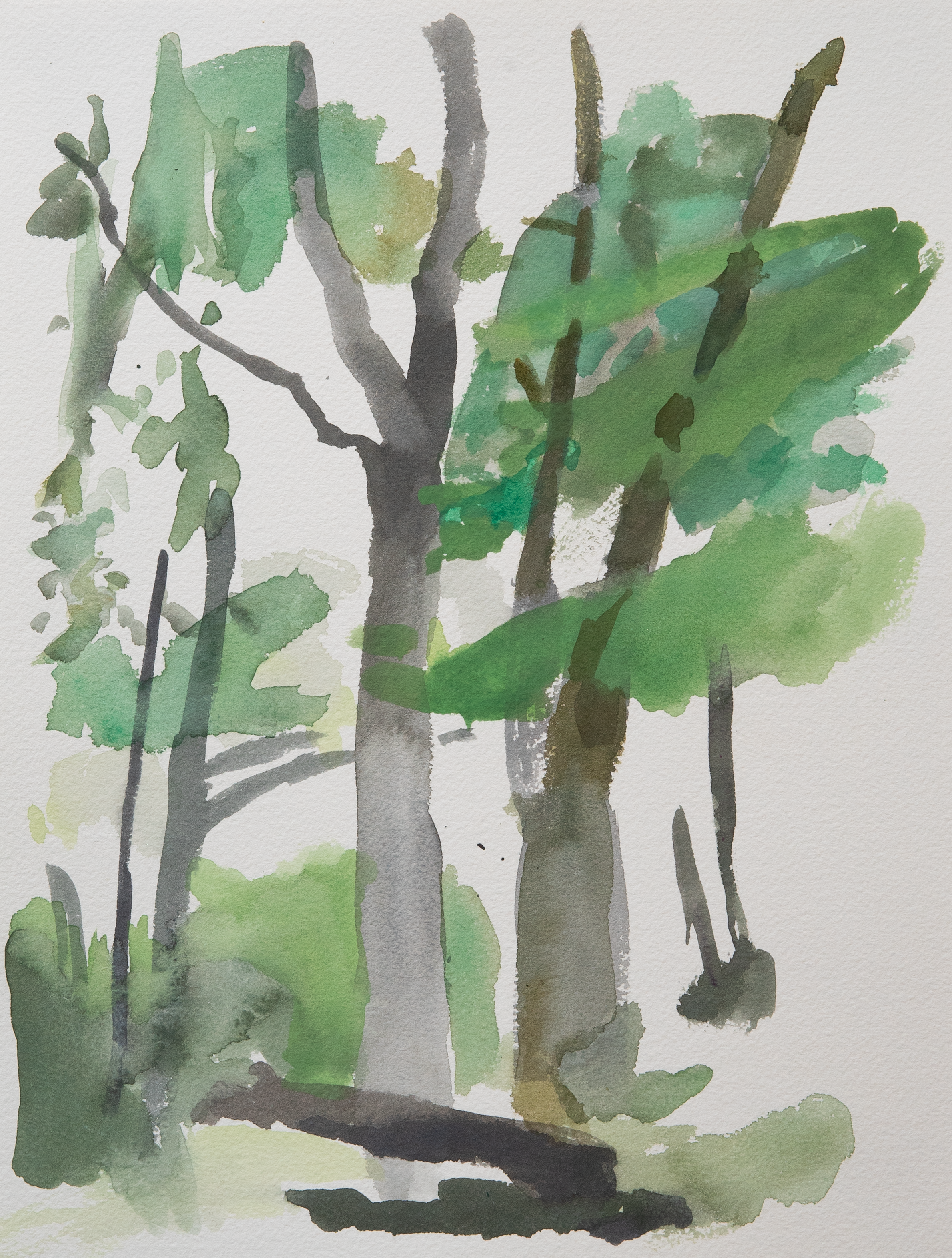 Untitled 41_(Summer 2023)_12by9.PNG