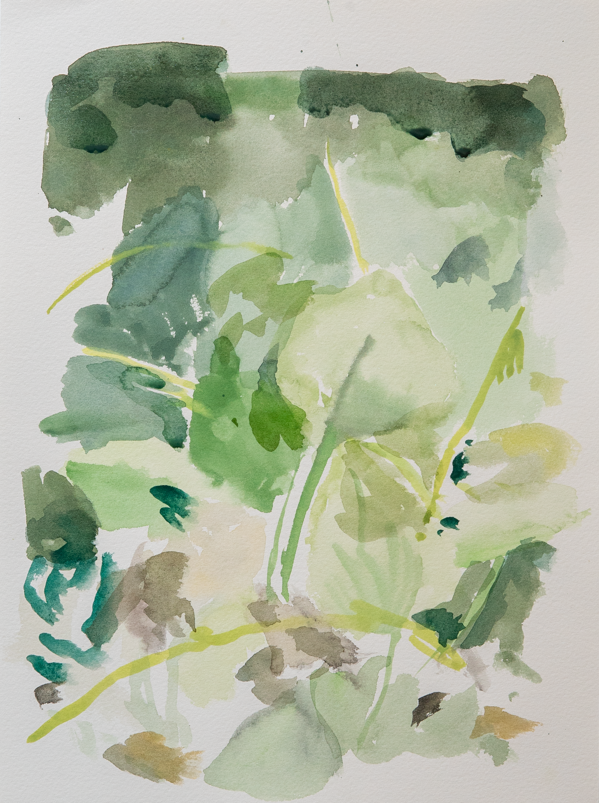 Untitled 40_(Summer 2023)_12by9.PNG