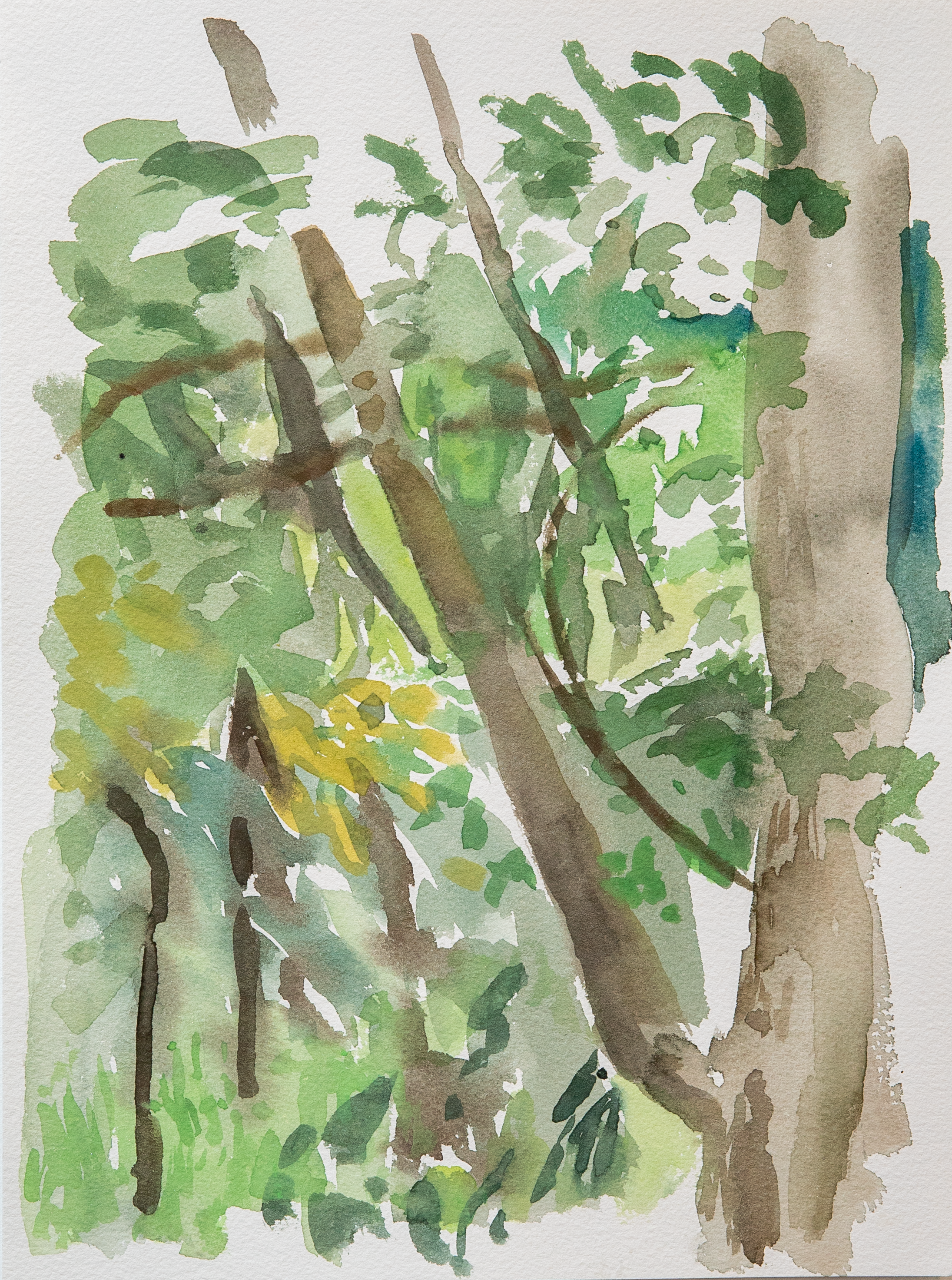 Untitled 46_(Summer 2023)_12by9.PNG