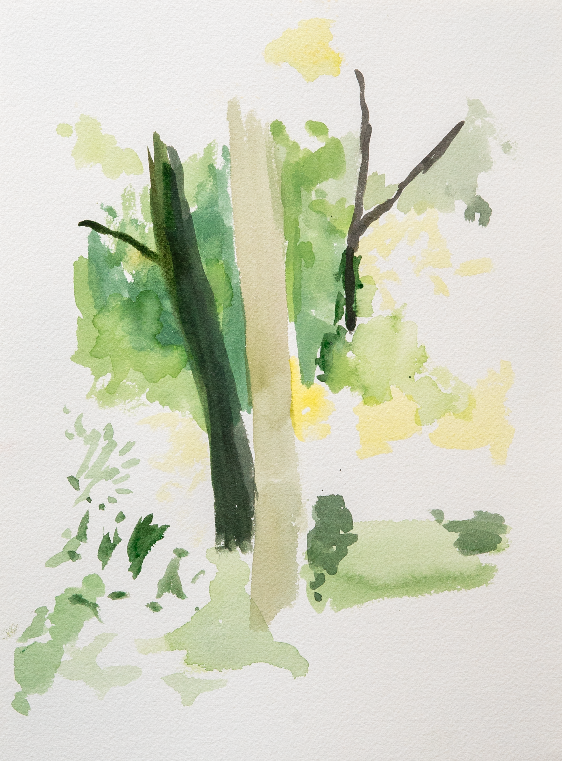 Untitled 43_(Summer 2023)_12by9.PNG