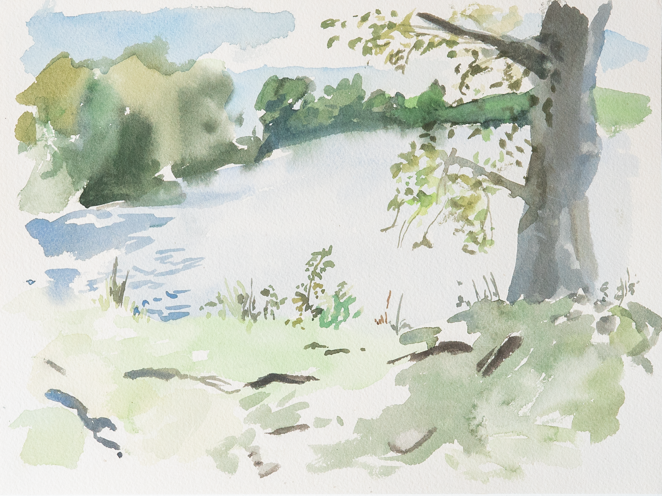 Untitled 13_(Summer 2023)_12by9.PNG