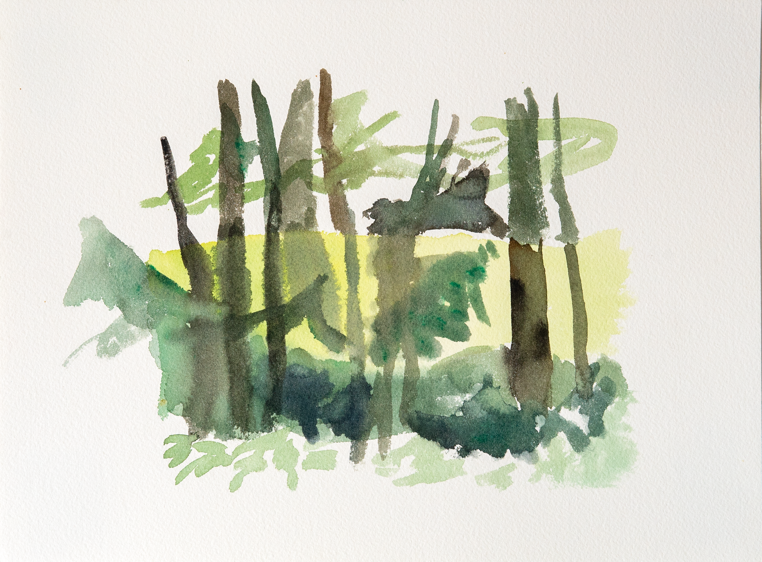 Untitled 15_(Summer 2023)_12by9.PNG