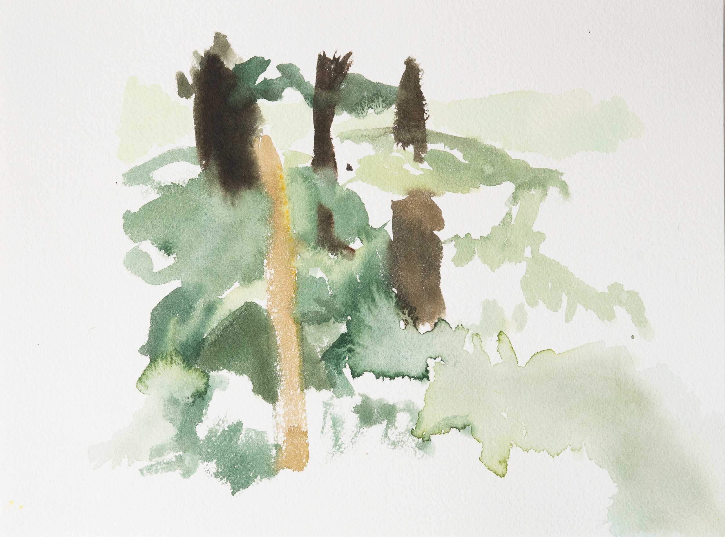 Untitled 20_(Summer 2023)_12by9.PNG