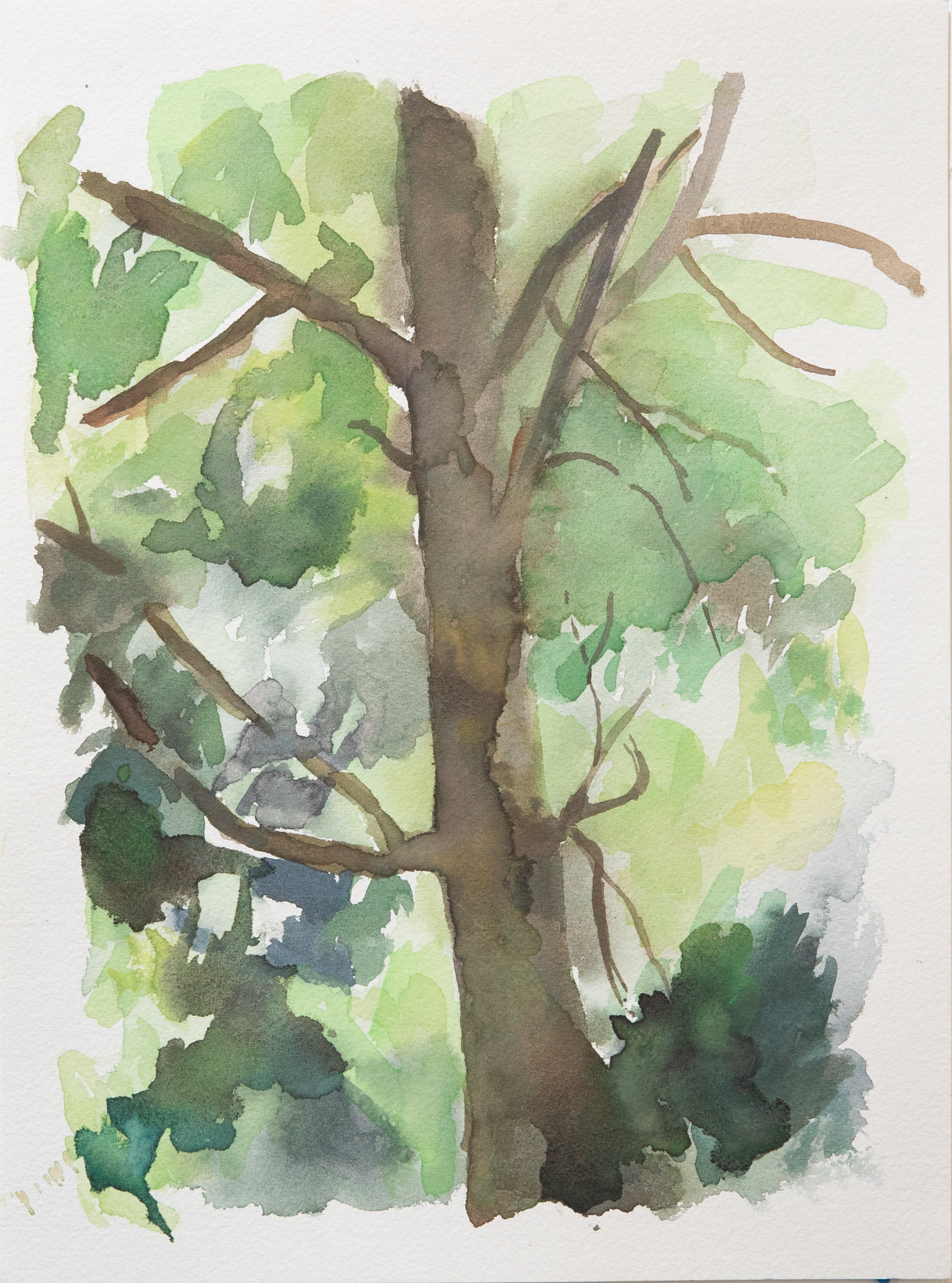 Untitled 32_(Summer 2023)_12by9.PNG