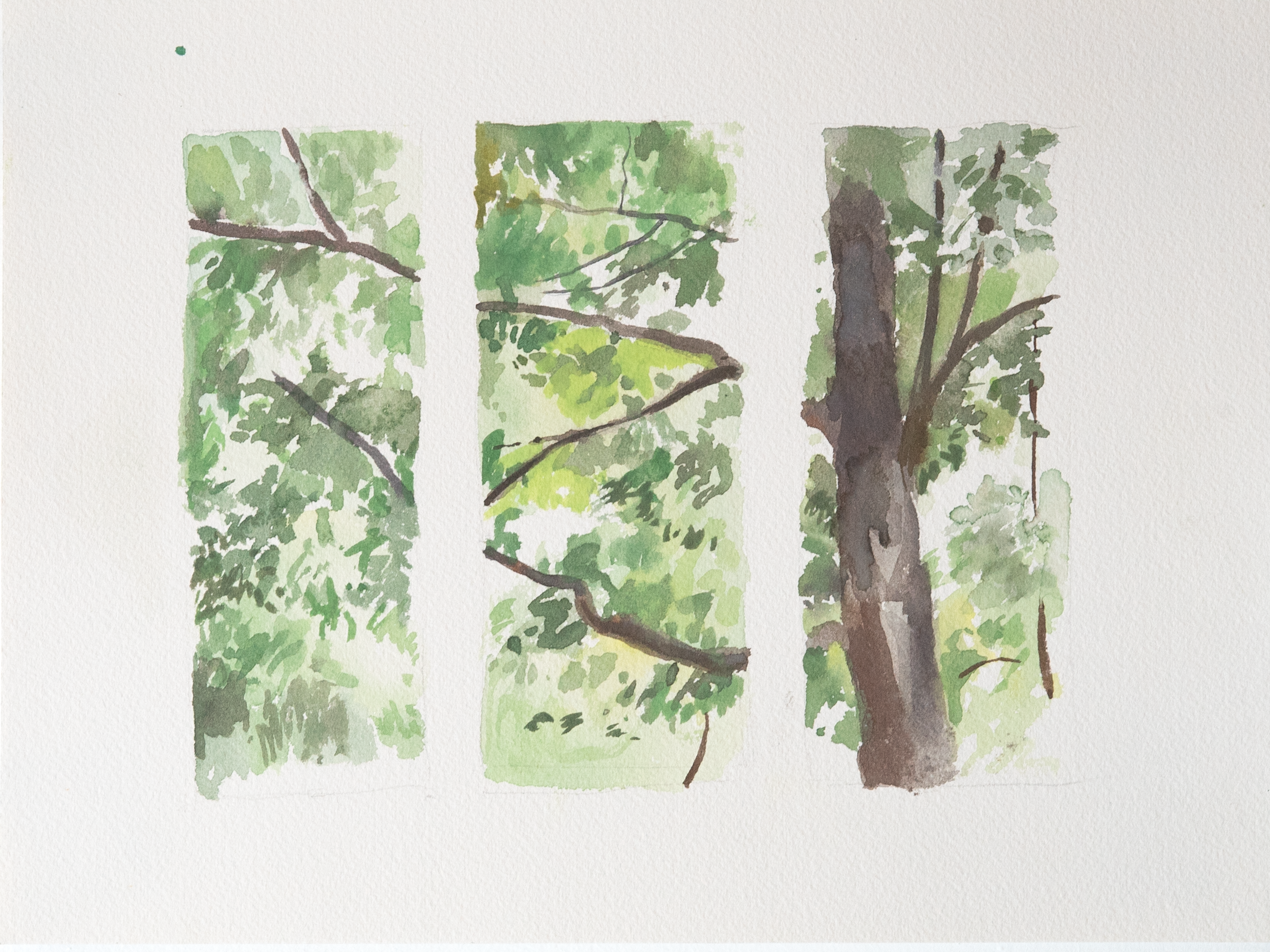 Untitled 23_(Summer 2023)_12by9.PNG