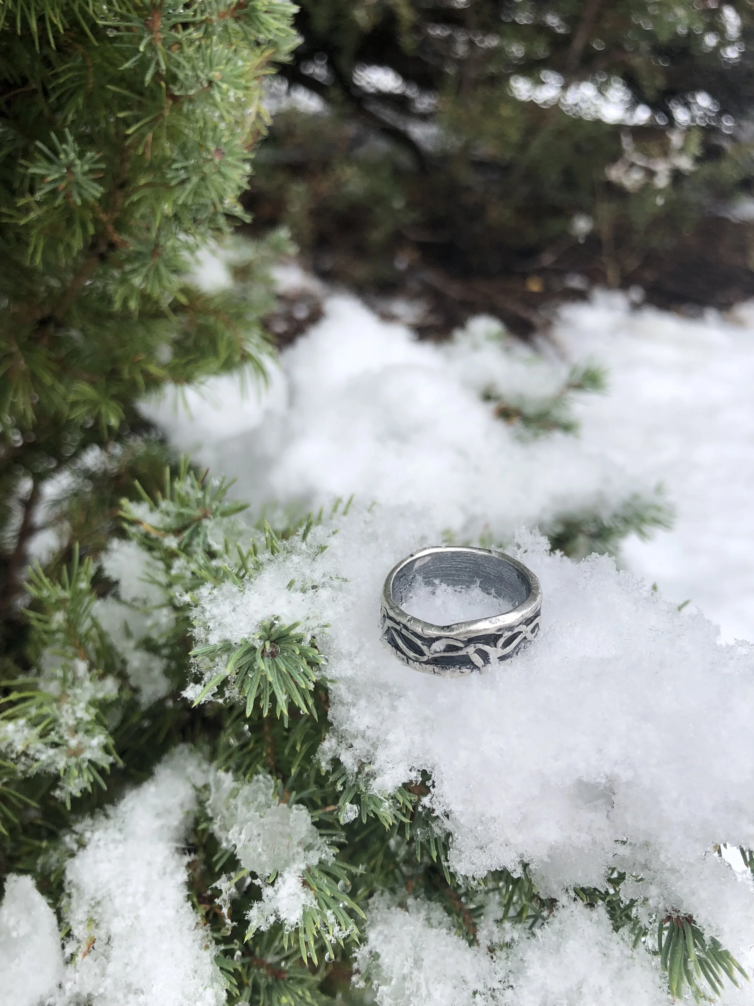 Connection ring on lots of snow.jpg