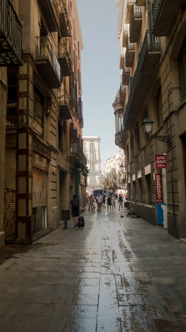 P1030200.jpg