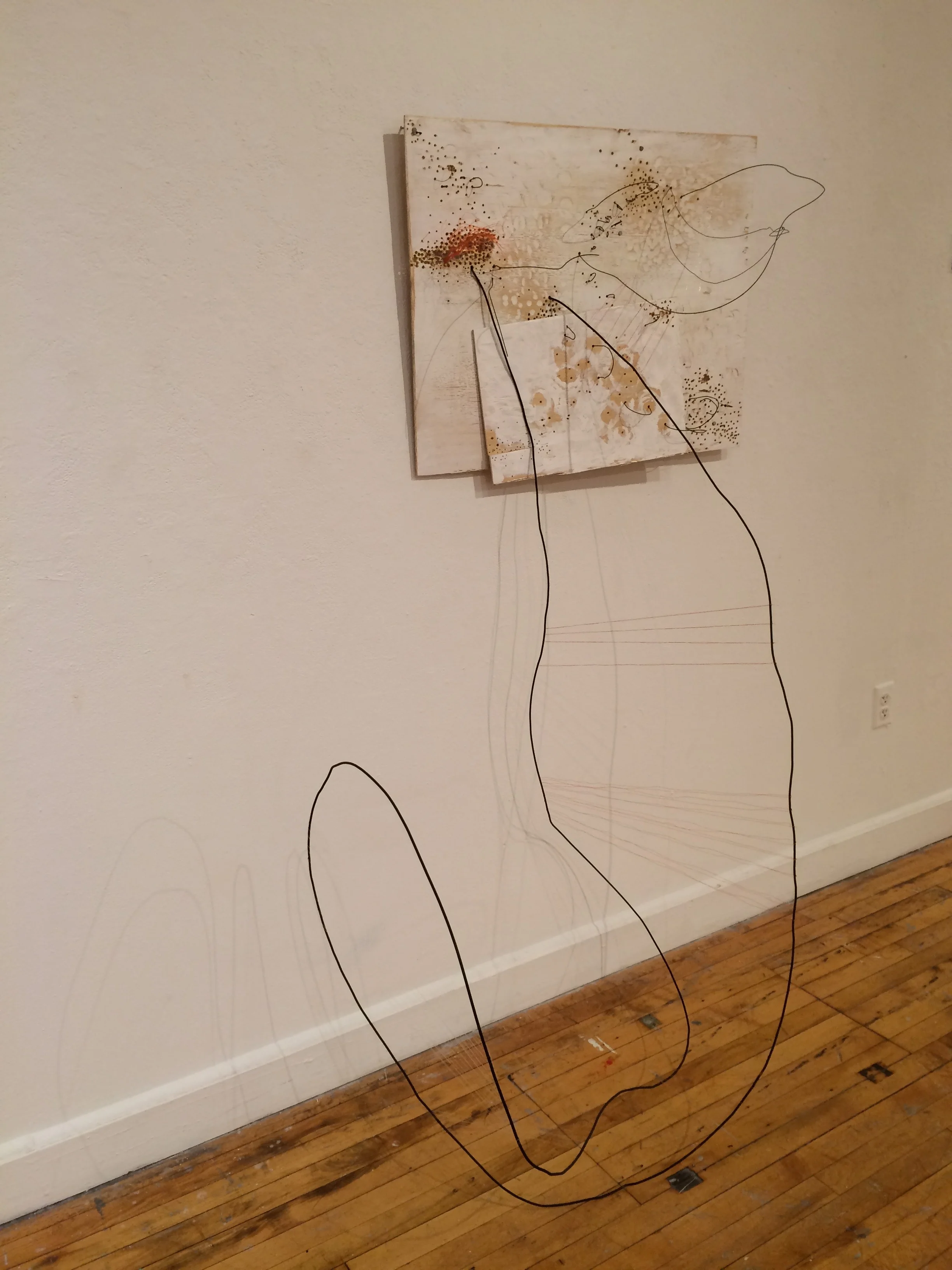 Untitled (loop), 2016. Wood, fishing line, steel wire, acrylic paint, 36 x 60 x 72 inches.