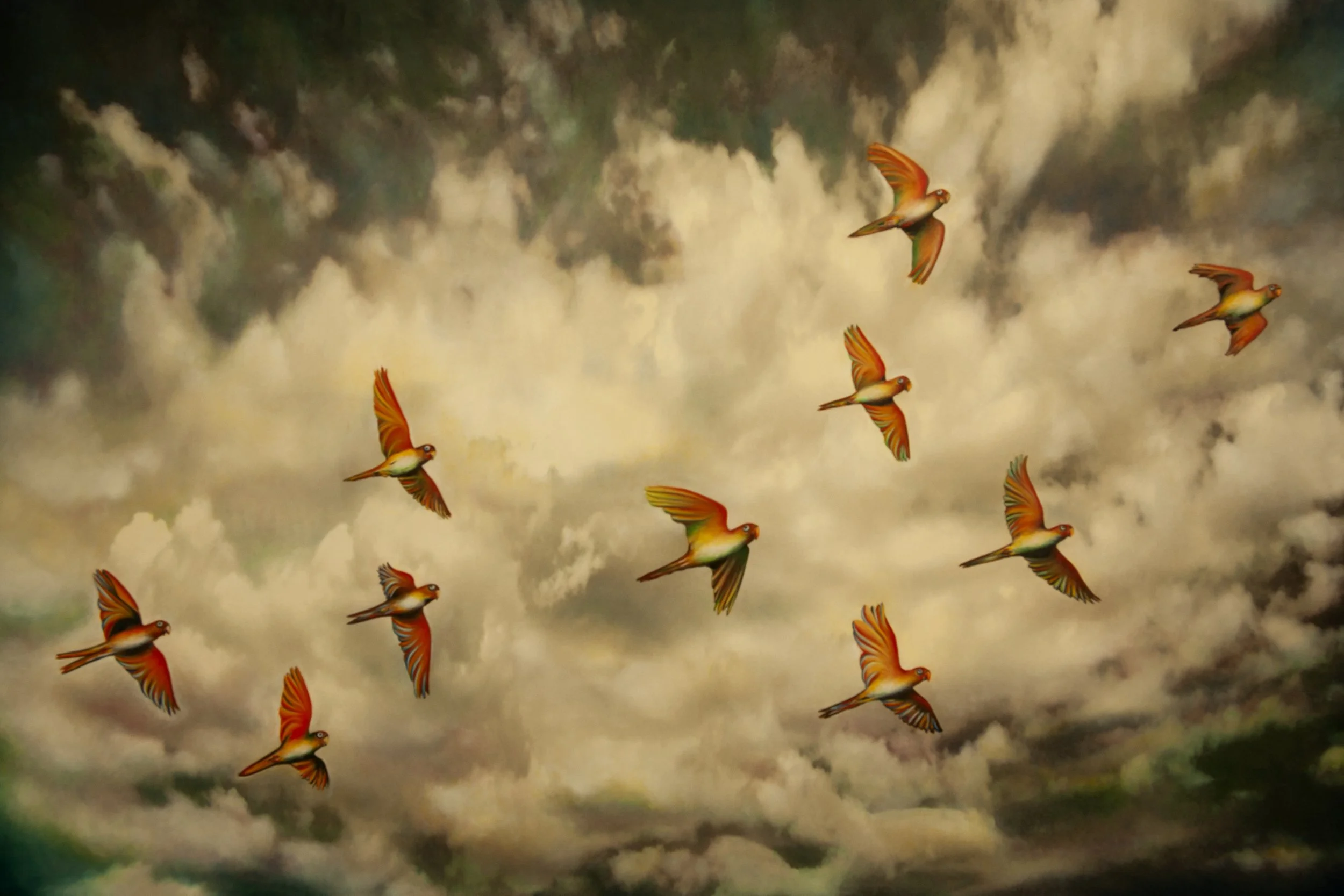 Revised Bird_5202.jpeg