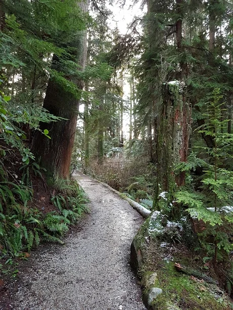 no snow trail.jpg