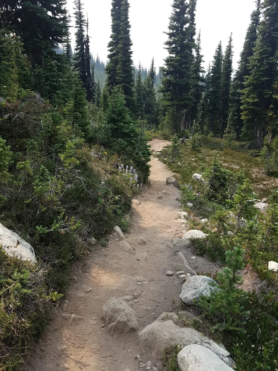 Trail to Black Tusk - Photo by Kandice Leaf