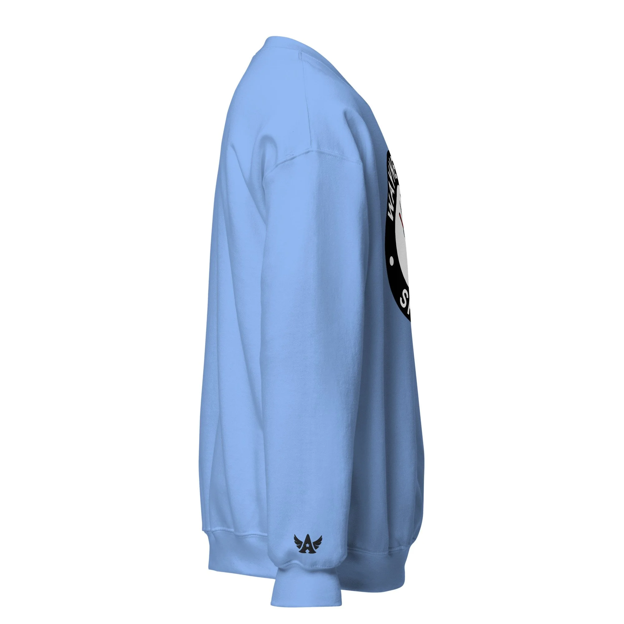 unisex-crew-neck-sweatshirt-carolina-blue-right-693a252de0cd1.jpg