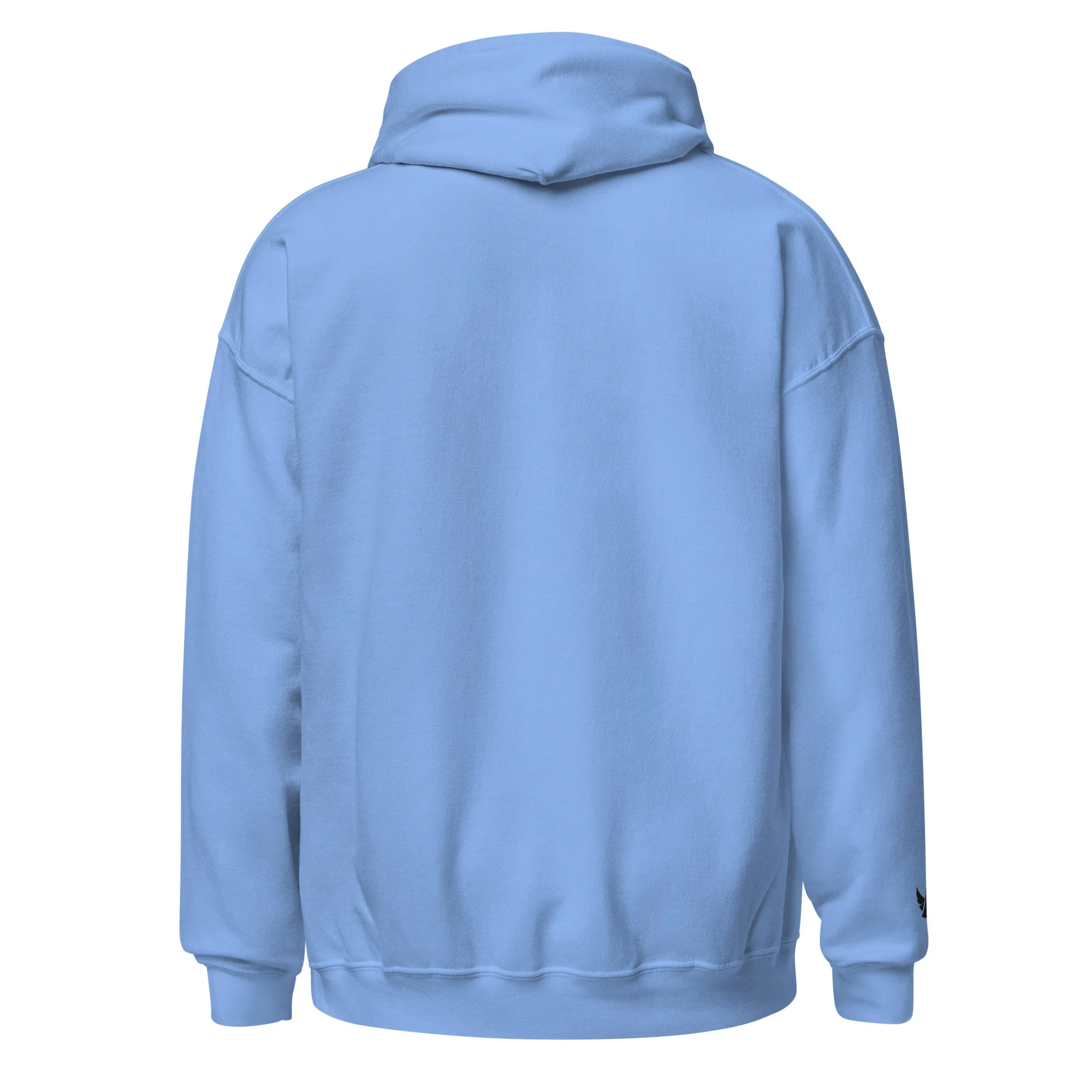 unisex-heavy-blend-hoodie-carolina-blue-back-693a28aa5dc87.jpg