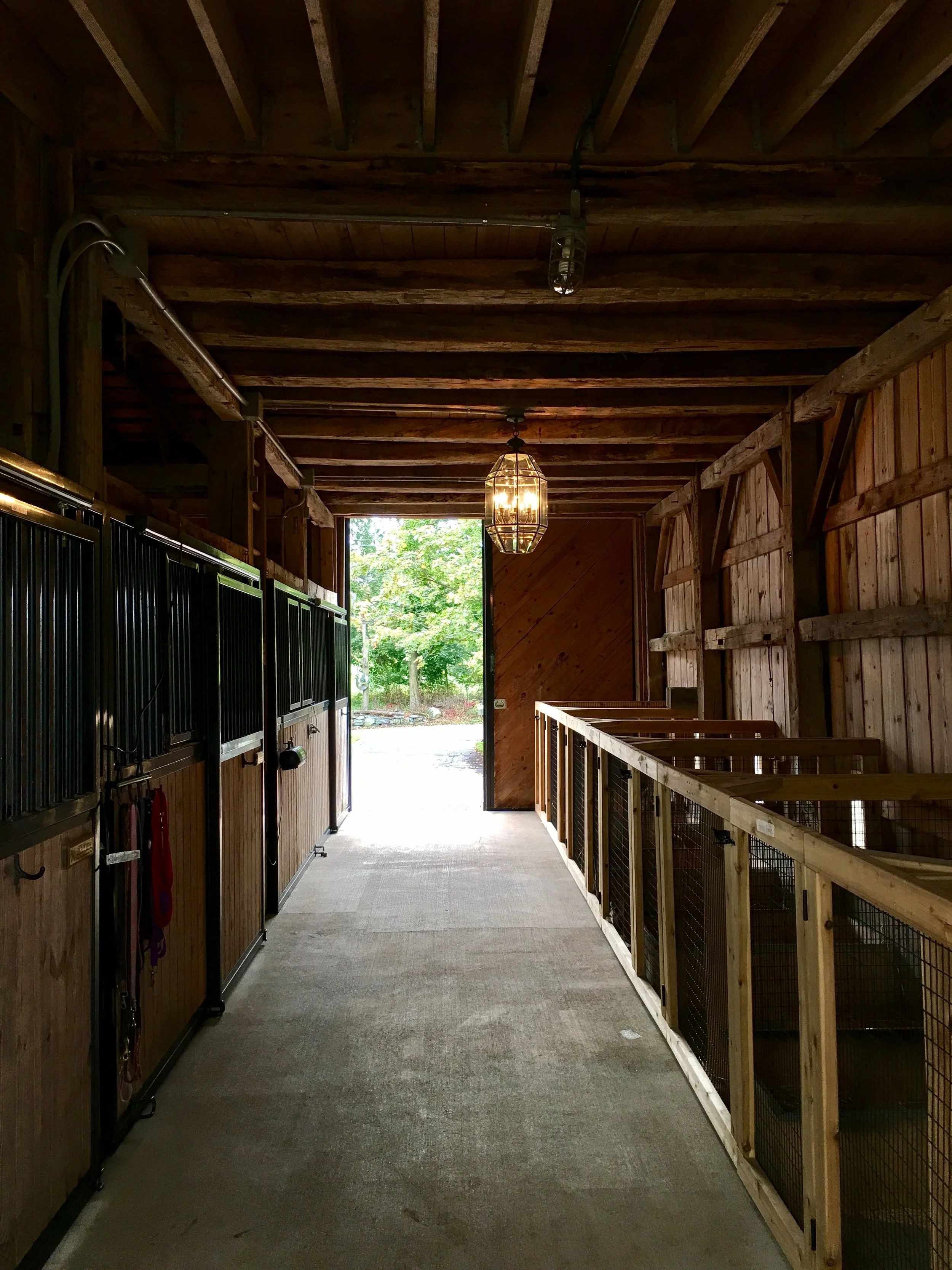 Corgikennels.jpg