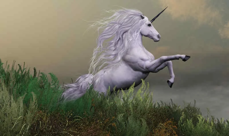 UnicornScotland.jpg