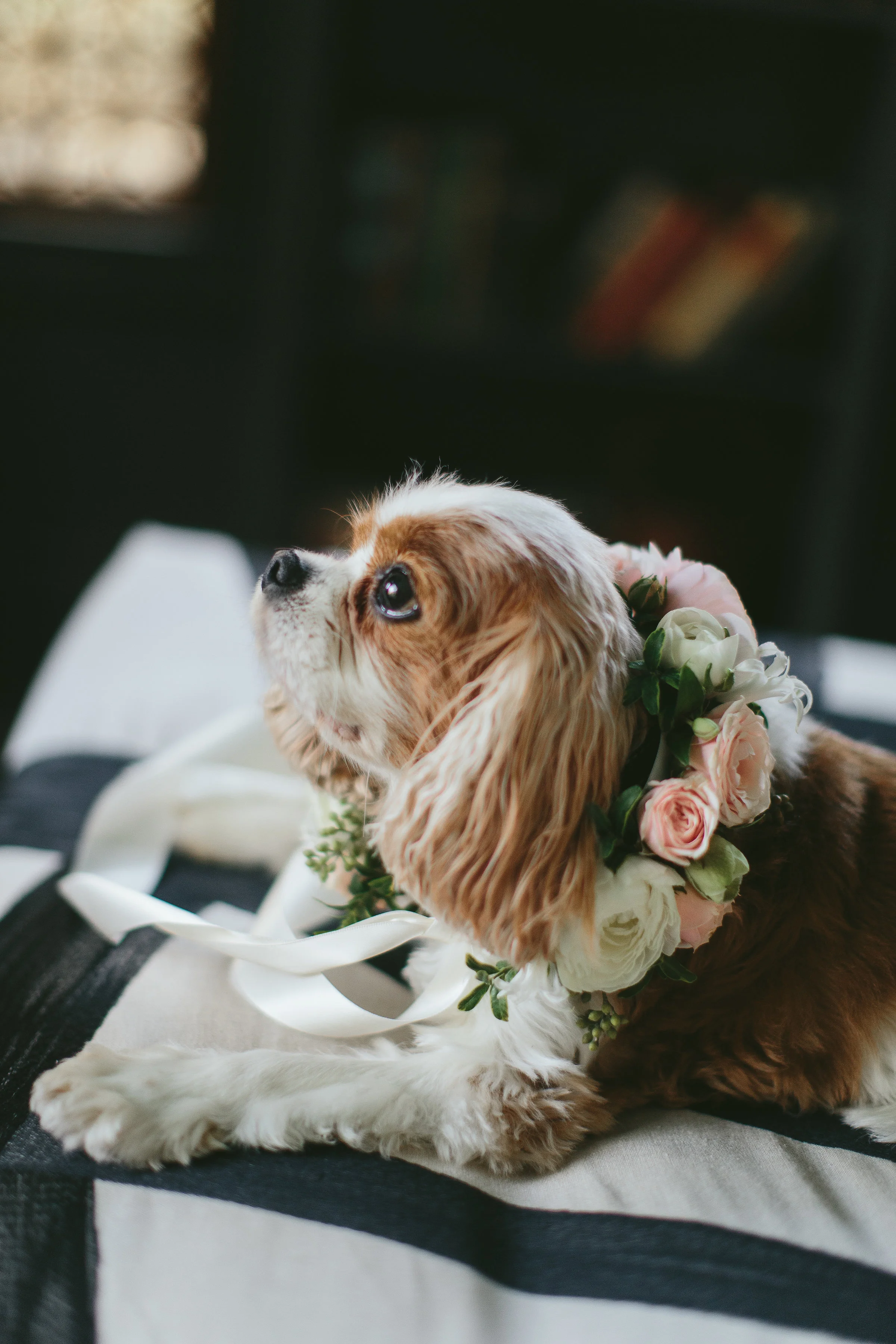 Flower Details - Dallas, TX - Fall Wedding - Julian Leaver Events