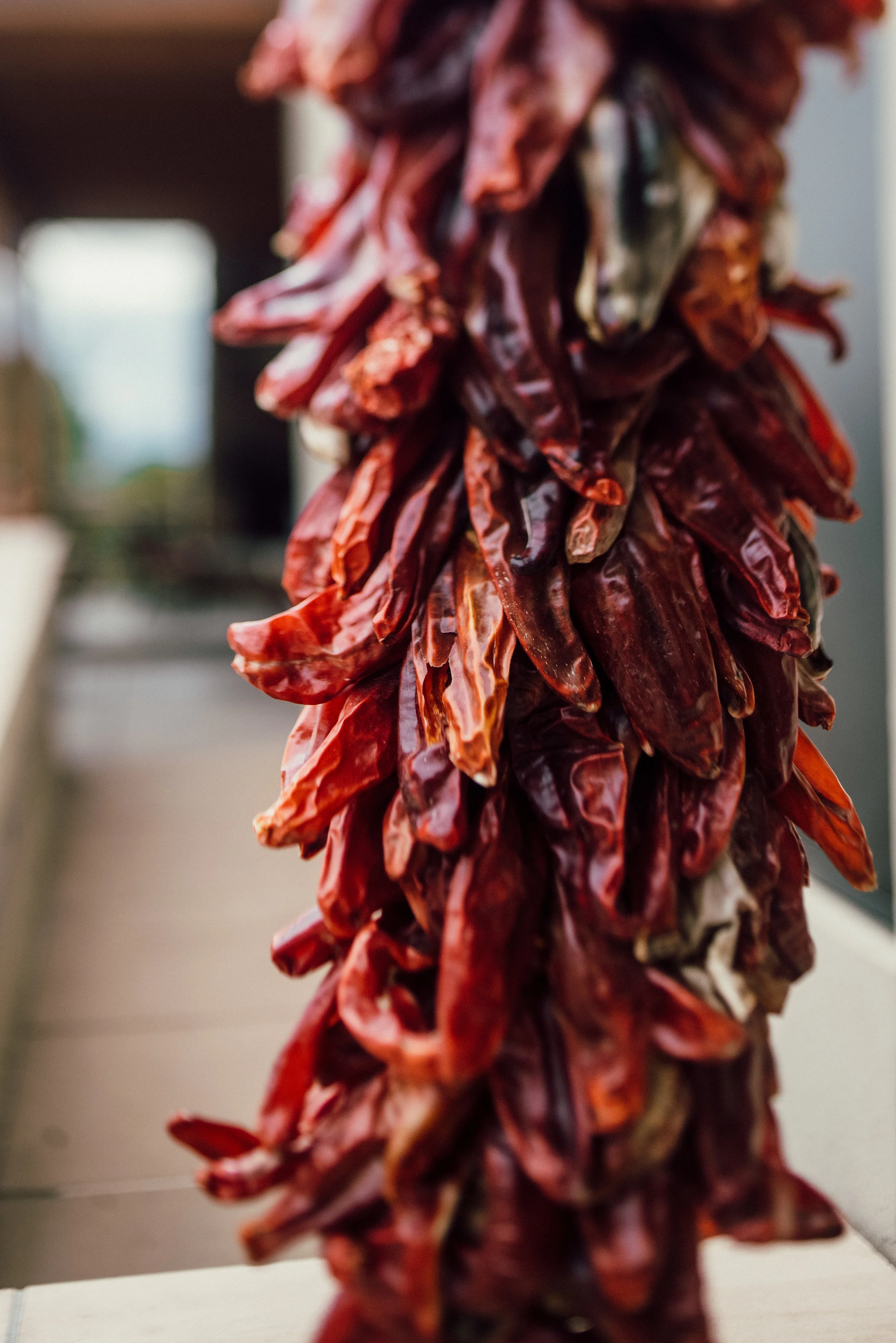 Wedding Reception Details - Santa Fe, New Mexico - Summer Wedding - Julian Leaver Events