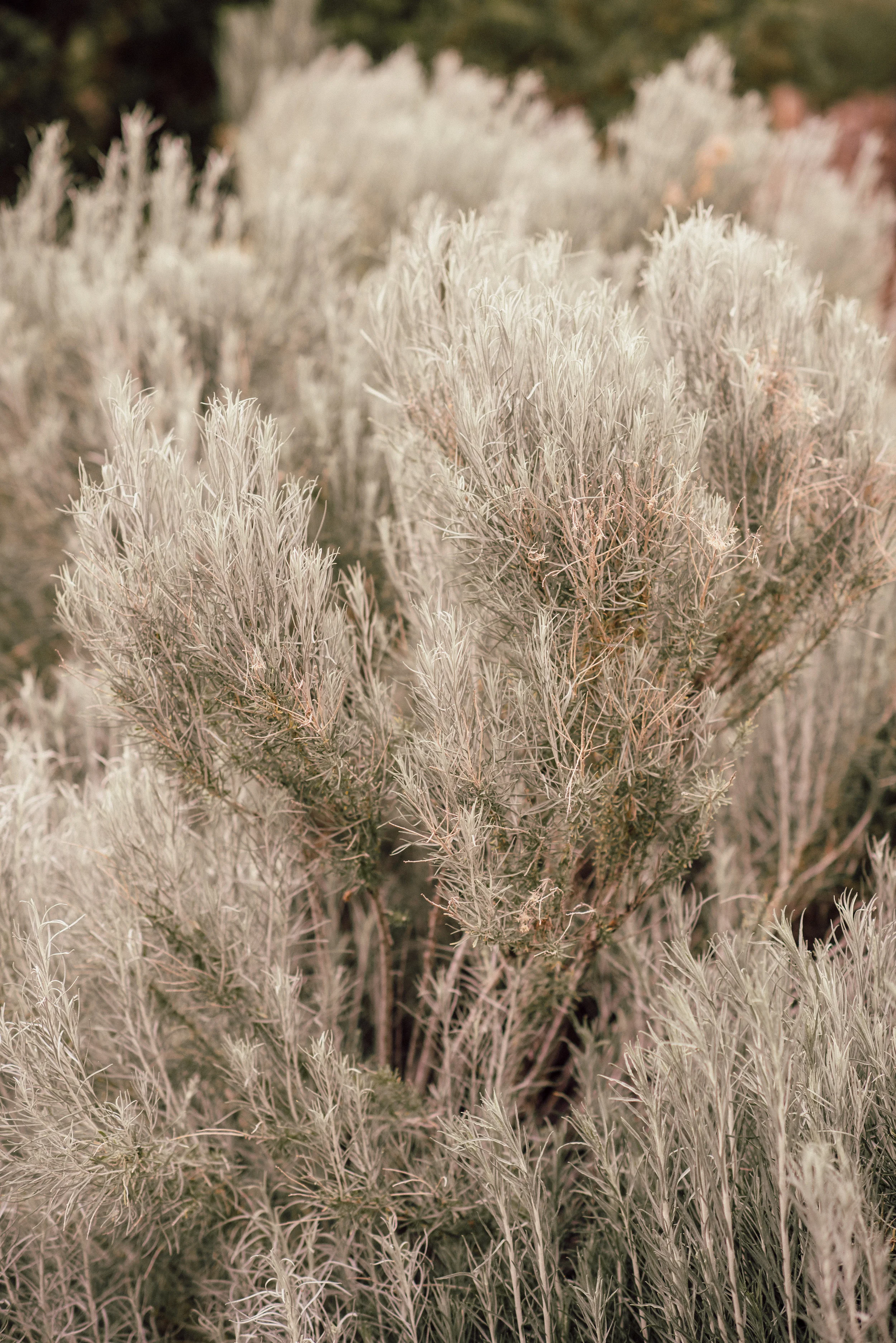 Ceremony Details - Santa Fe, New Mexico - Summer Wedding - Julian Leaver Events