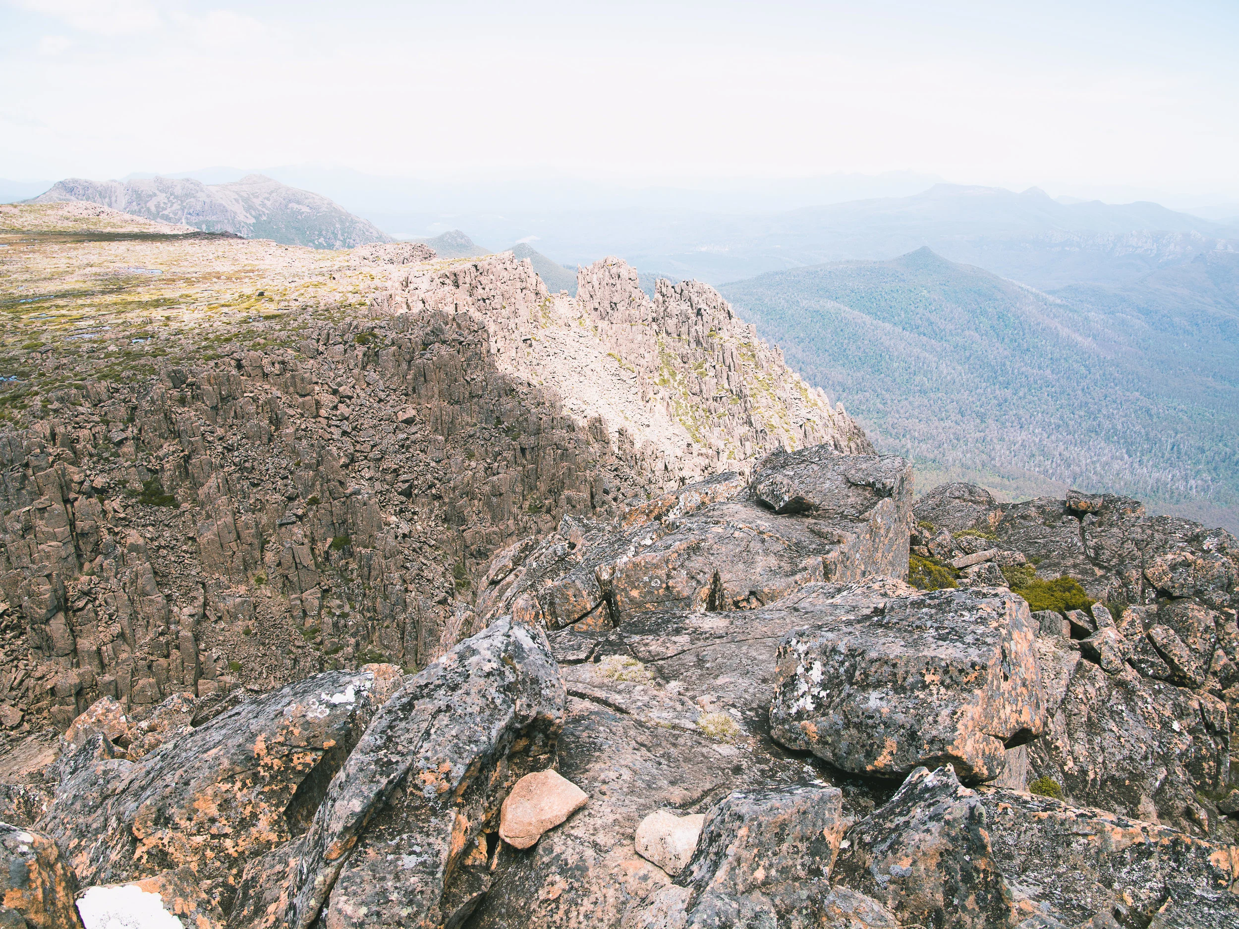 Mt Field West Summit-1.jpg