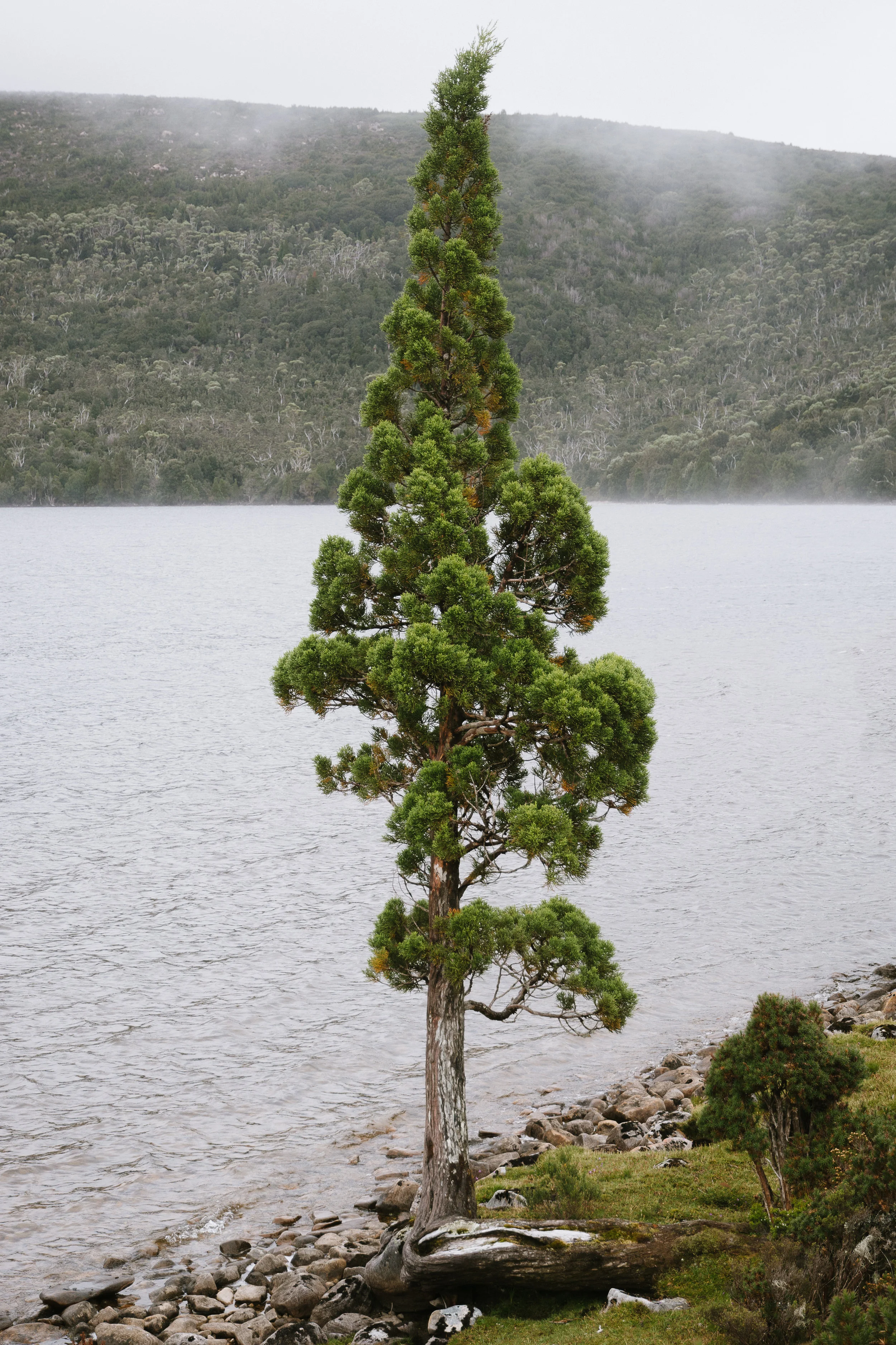 Overland Track-7.jpg