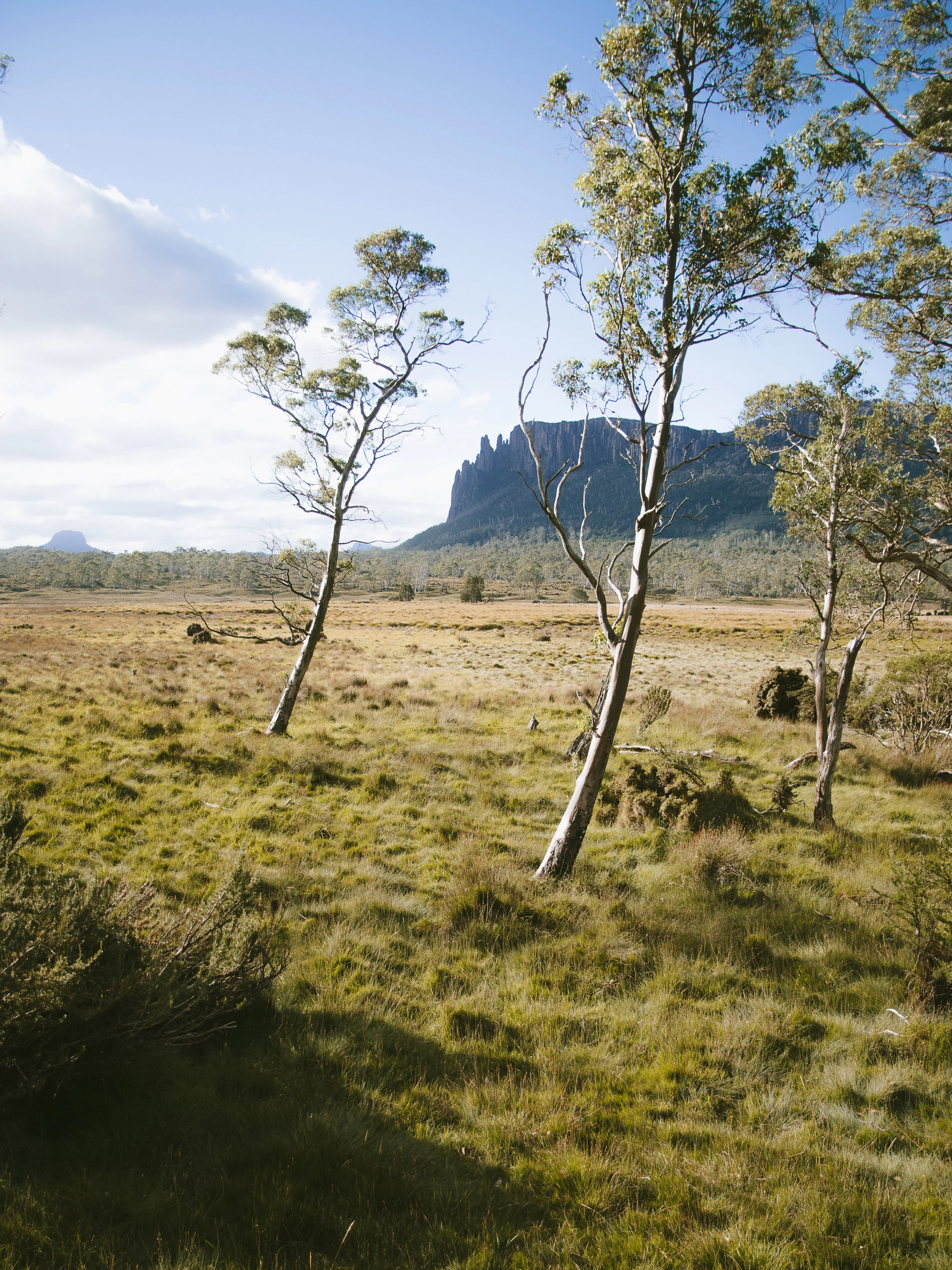 Overland Track-41.jpg