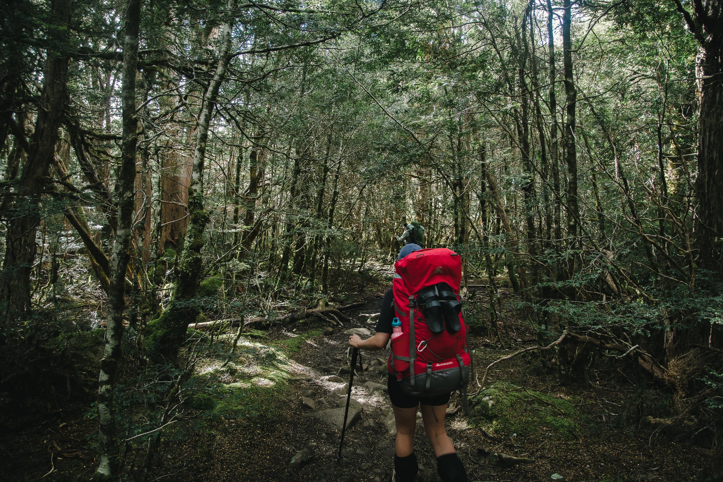 Overland Track-18.jpg
