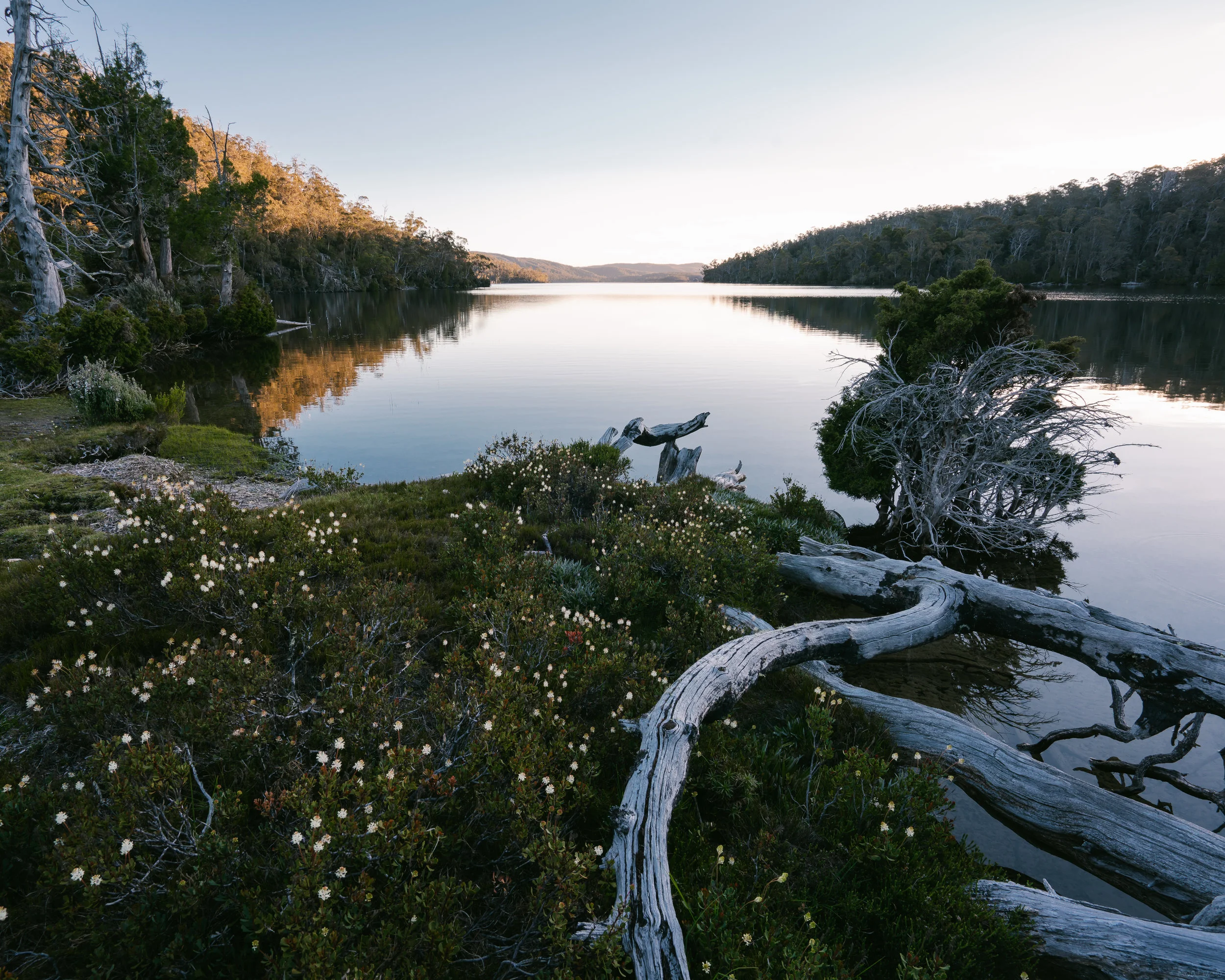 Lake Adelaide-1.jpg