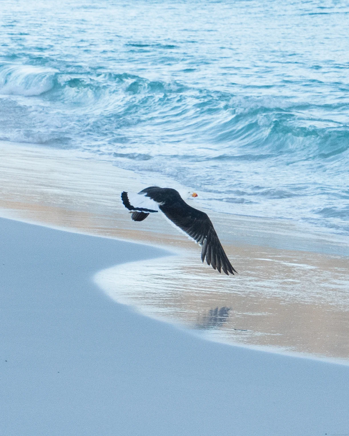 Freycinet-7.jpg