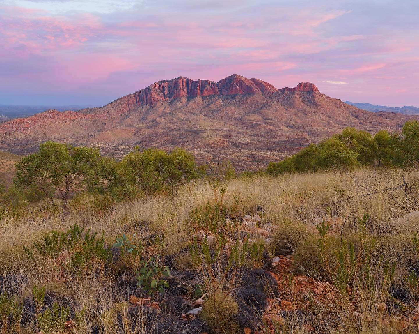 Pastel morning skies over Rwetyepme / Mount Sonder, from our penultimate campsite on the Larapinta Trail.