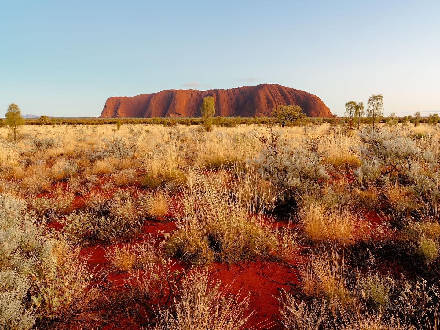 Such a privilege to spend a few days at Uluru a few weeks ago. 

In awe at the significance of this living cultural landscape and the rich history of the Anangu people who have called this area home and shared their culture and cared for country here