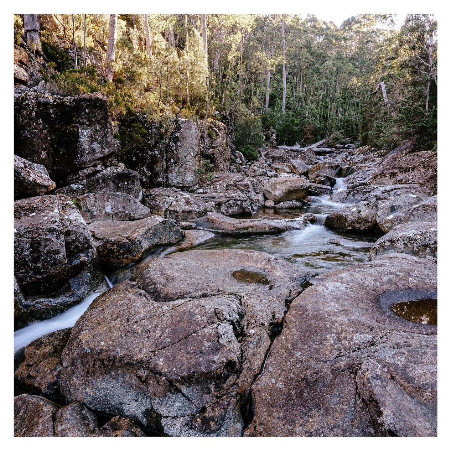North West Bay River, kunanyi/Mount Wellington 

#keeptassiewild #kunanyi #tasmania