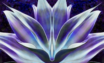 Downtown Burbank Fine Arts Festival