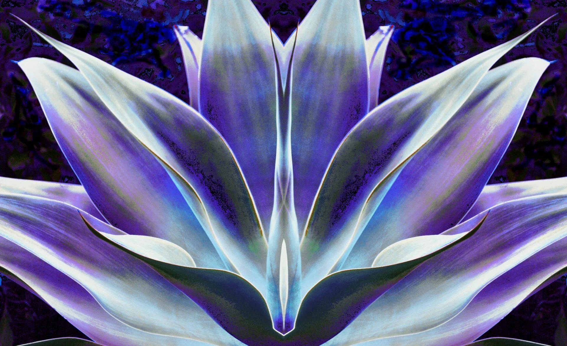 Artwalk at Indian Wells