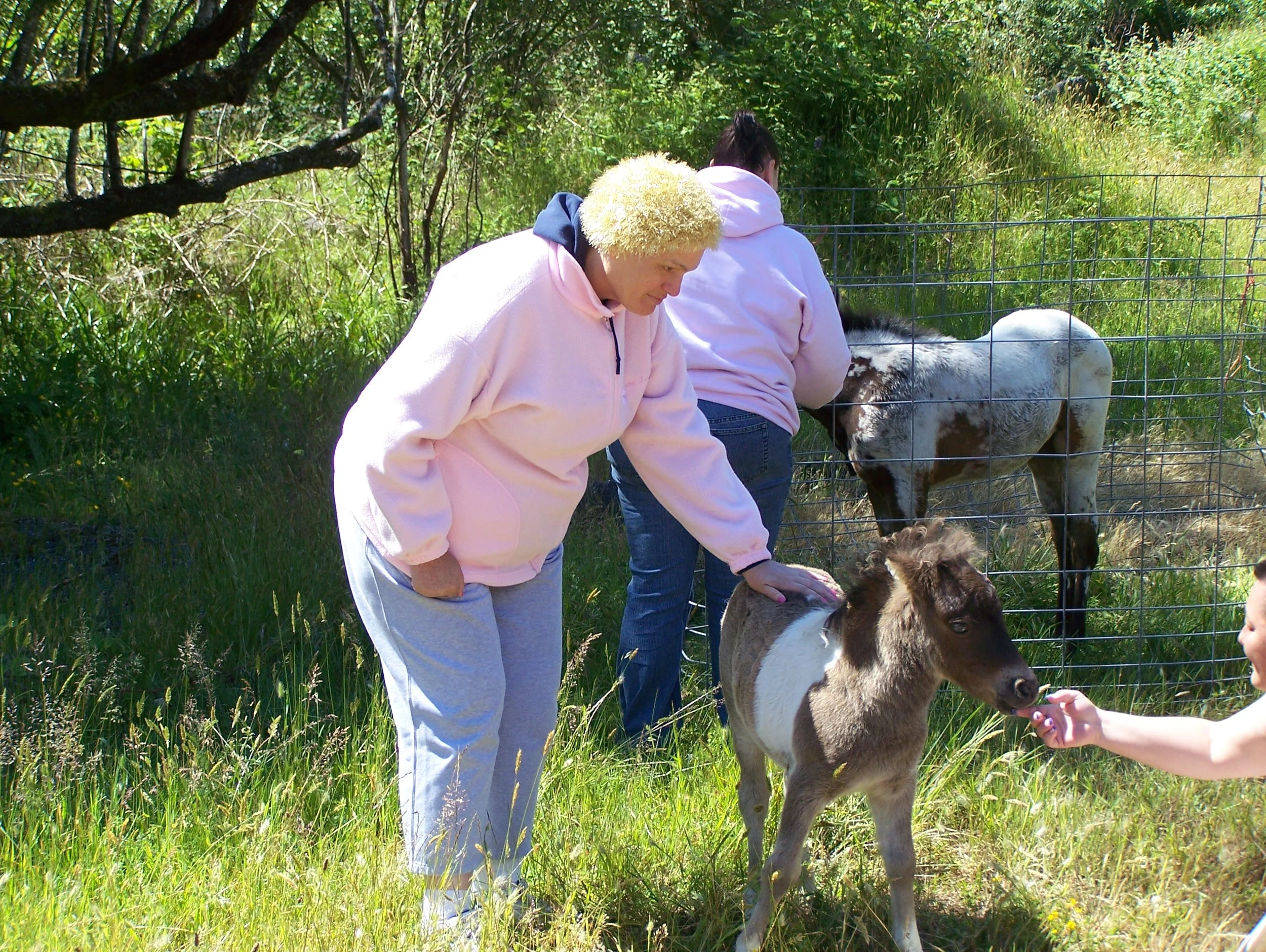 Copy of 101_1035.JPG