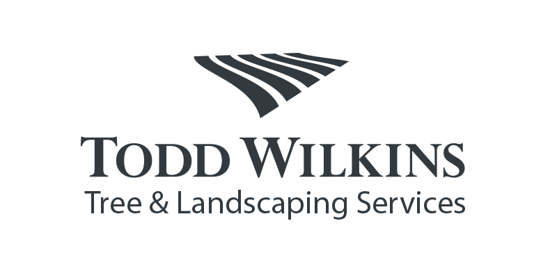 Todd Wilkins Tree and Landscaping Services, Mont Vernon, New Hampshire