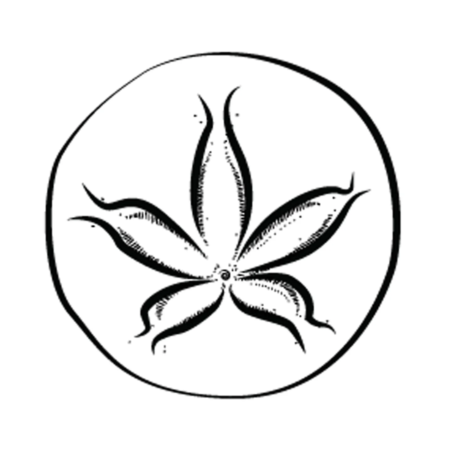 E2 Cultivating Capacity - The Ortho-Bionomy® Podcast E2 Cultivating Capacity - The Ortho-Bionomy® Podcast