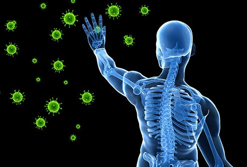 Strengthening our Immune System: Working with the Spleen, Thymus, and Kidneys - Online Study Group