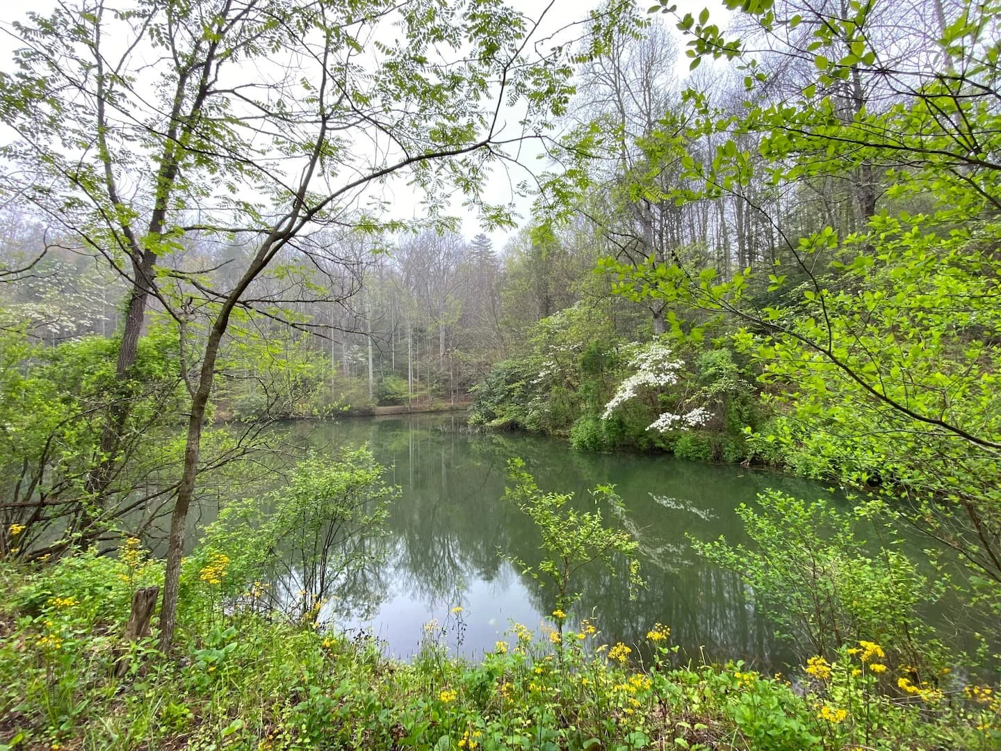 Phase 4 Extremities - An Immersion Retreat