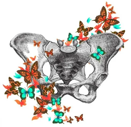 Phase 4--Advanced Pelvis - Study Group (Online) w/ Jessica Mark