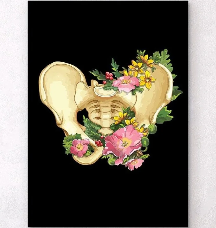 Advanced Pelvis: Structure as Process -- Experiencing Your Vibrant Pelvis with Liz Beeson and Jessica Mark